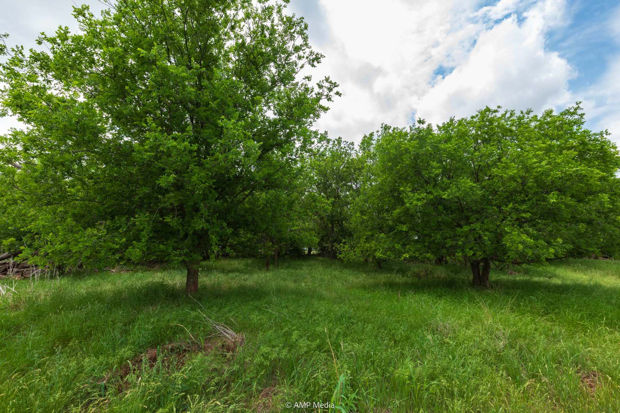 Property Photo 20 Property photograph 20