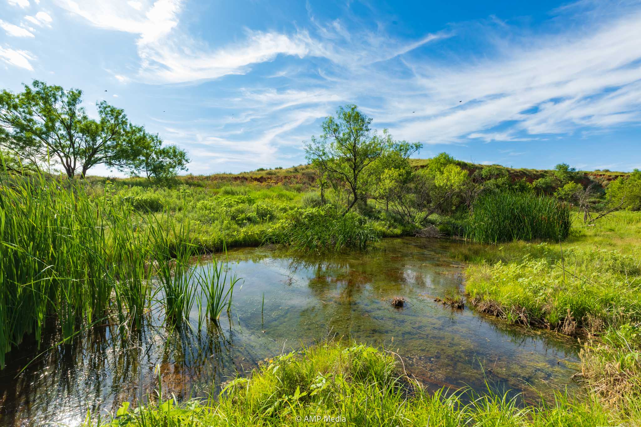 Property Photo 20 Property photograph 20