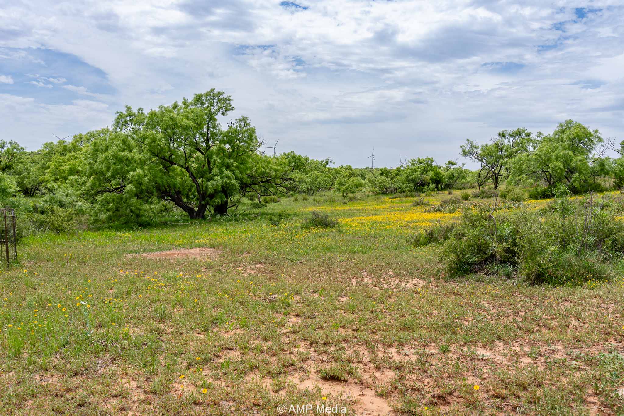 Property Photo 20 Property photograph 20