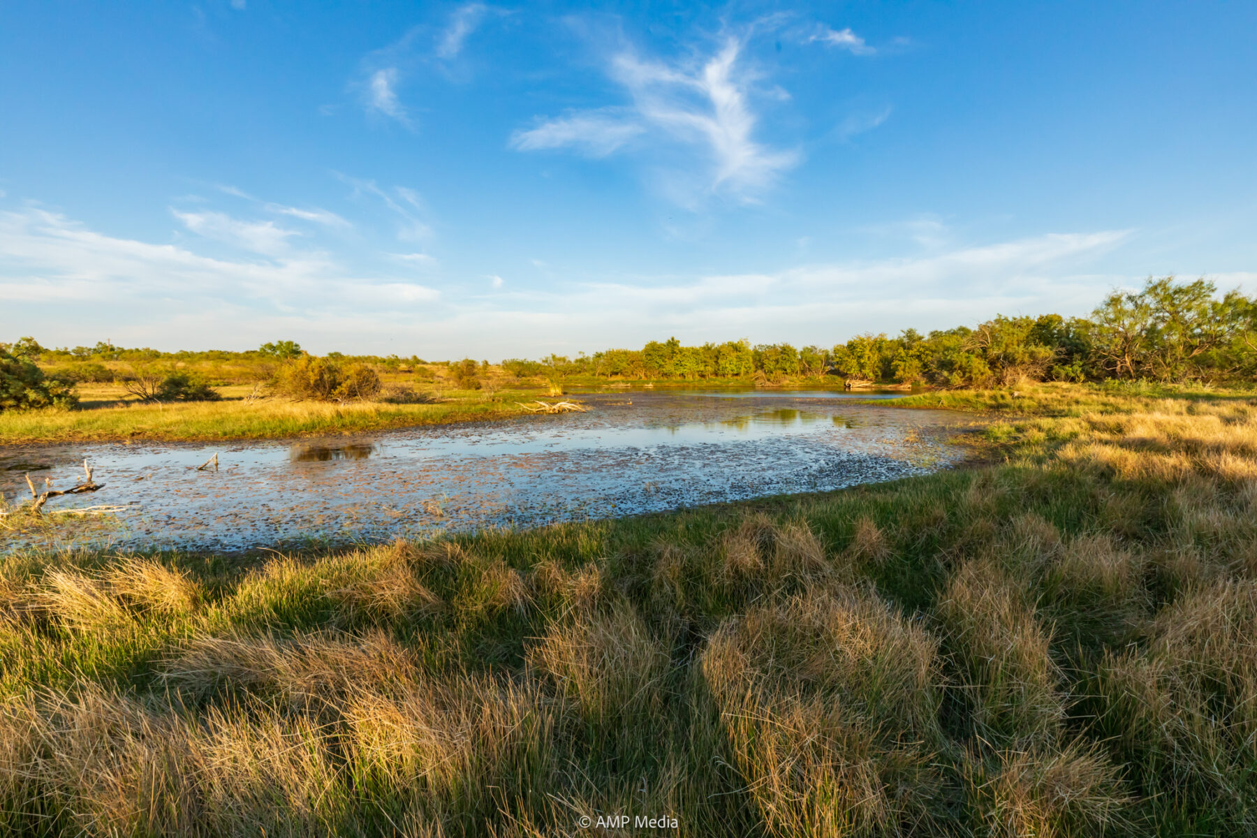 Property Photo 20 Property photograph 20