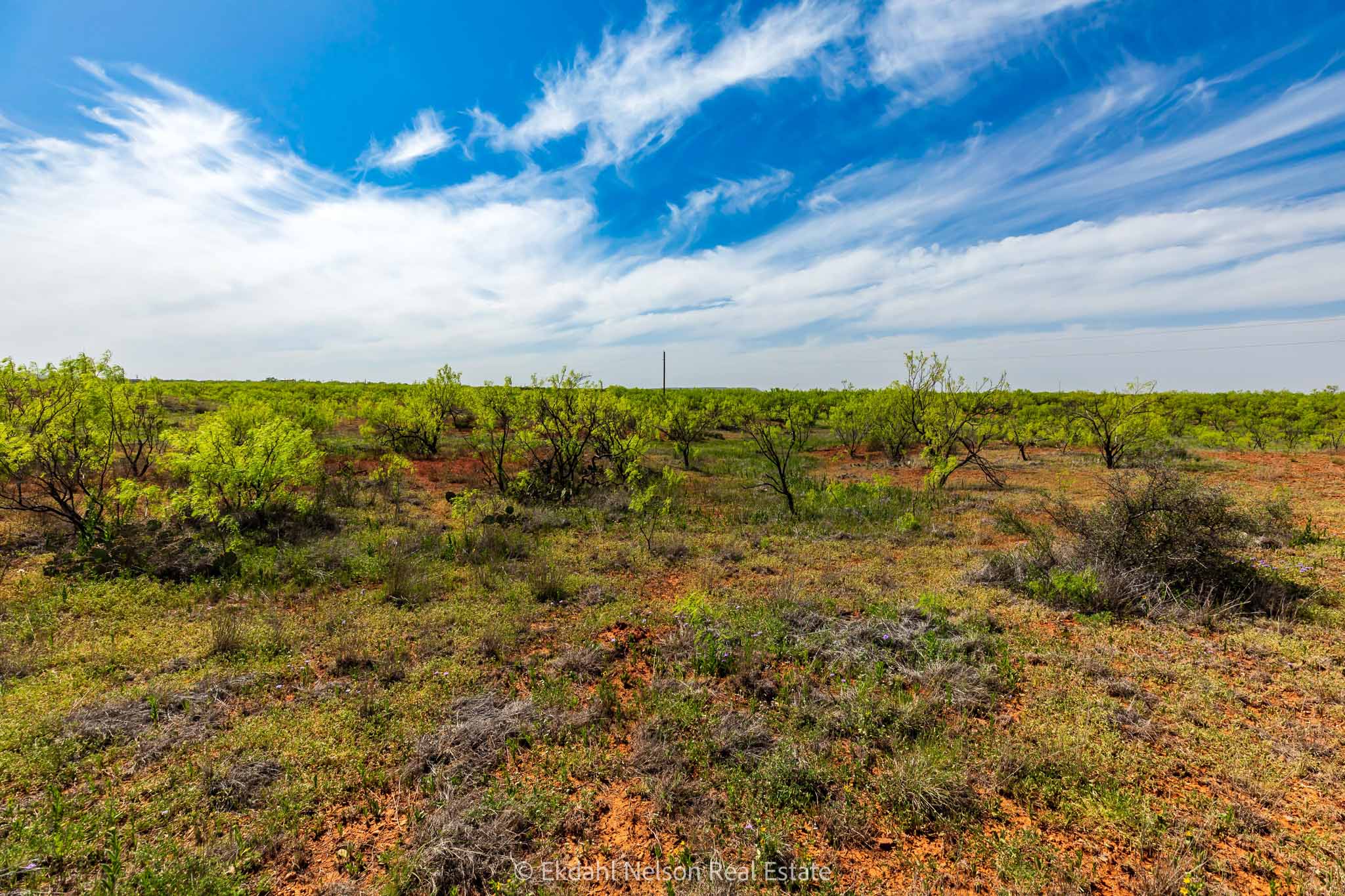 Property Photo 21 Property photograph 21