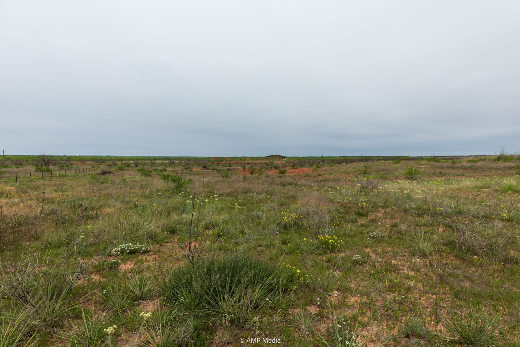 Property Photo 21 Property photograph 21