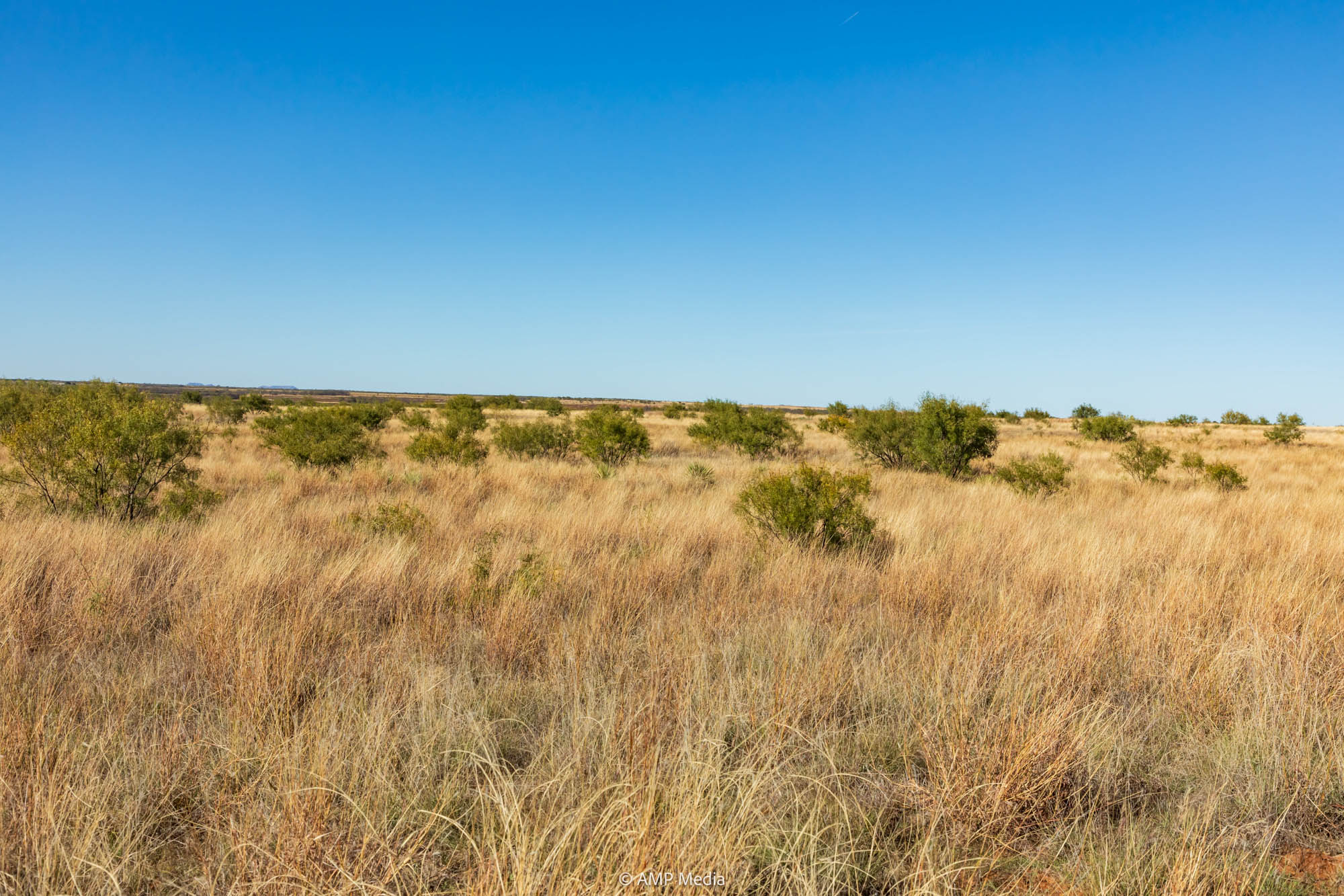 Property Photo 21 Property photograph 21