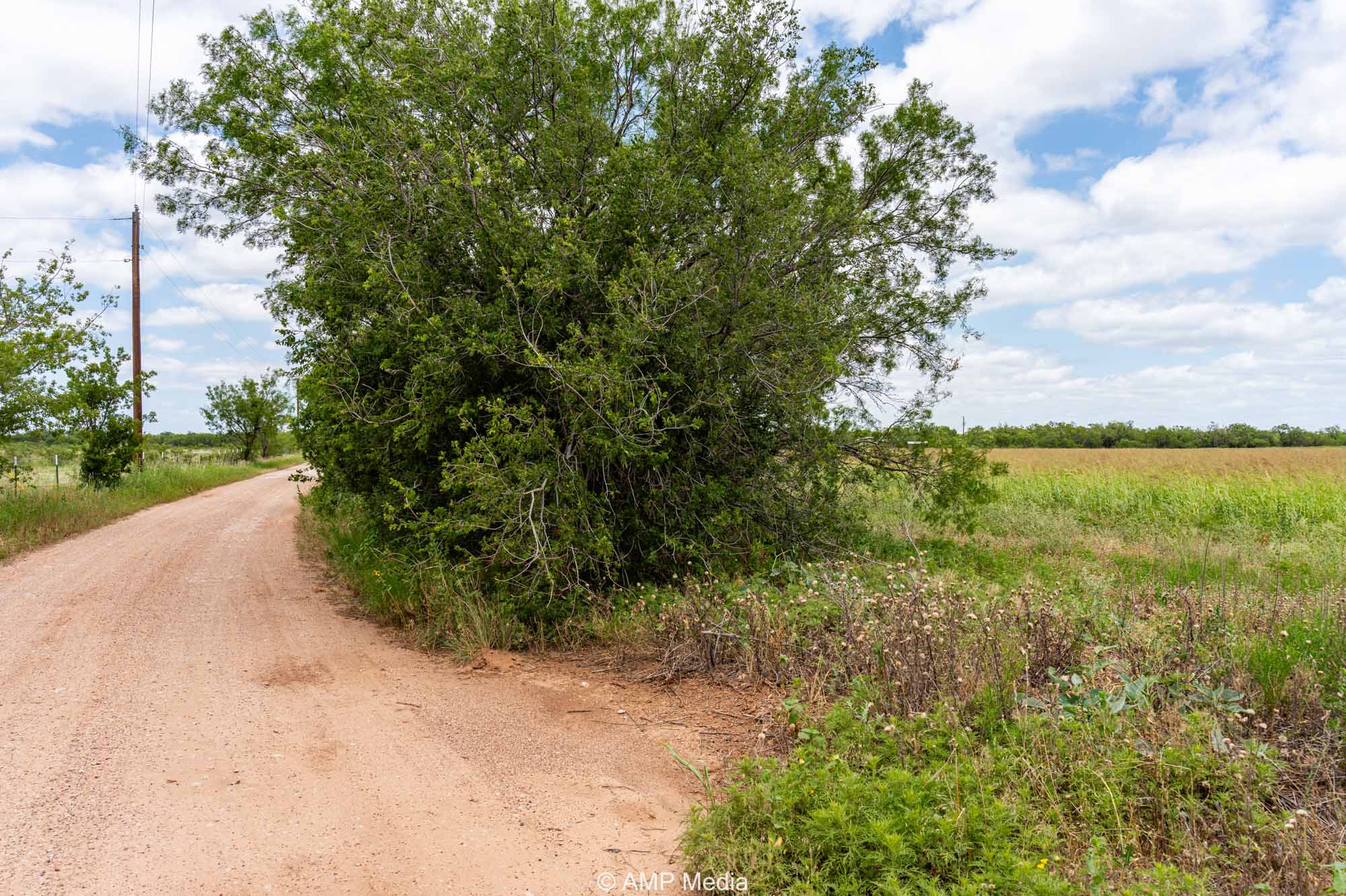 Property Photo 21 Property photograph 21