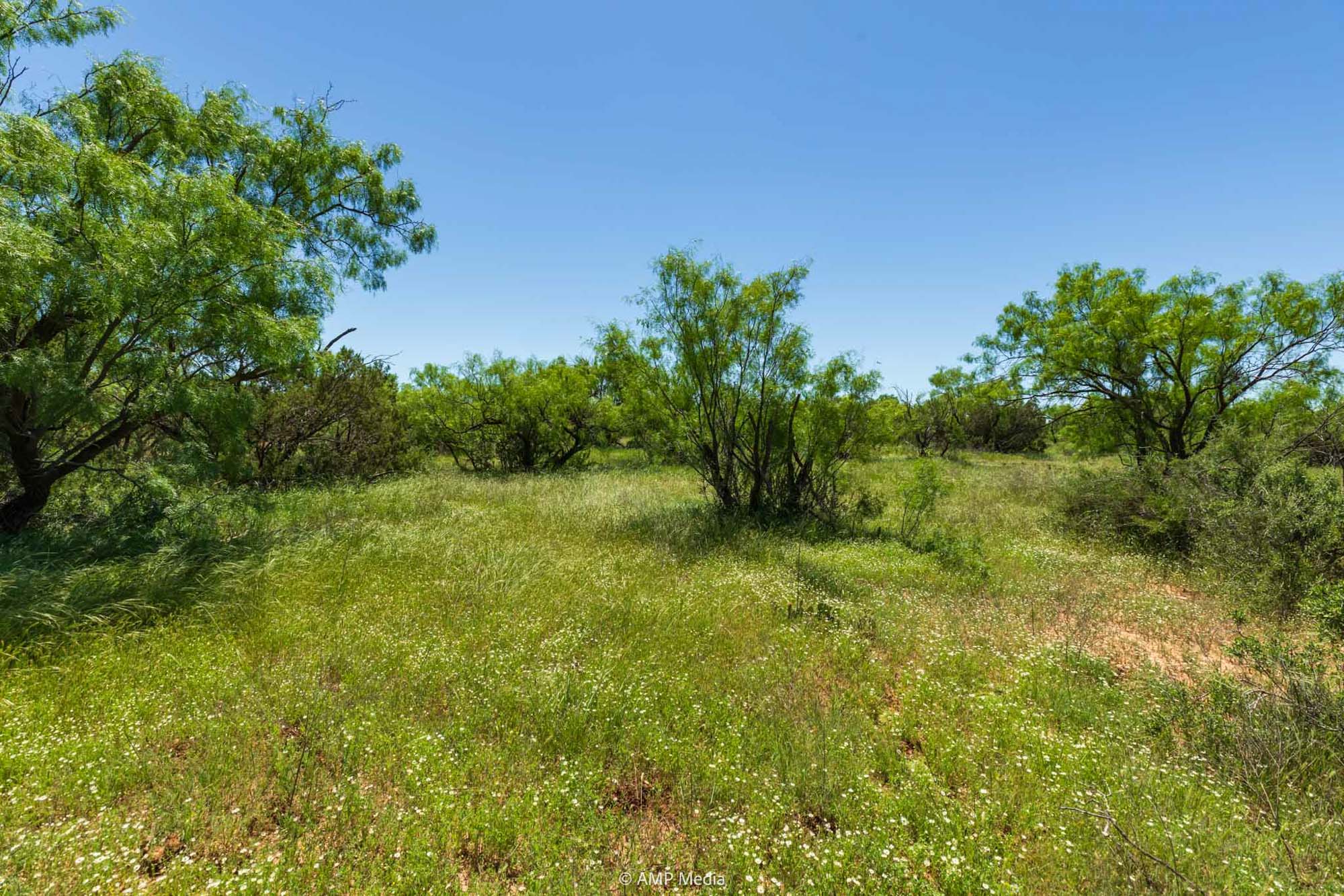 Property Photo 21 Property photograph 21