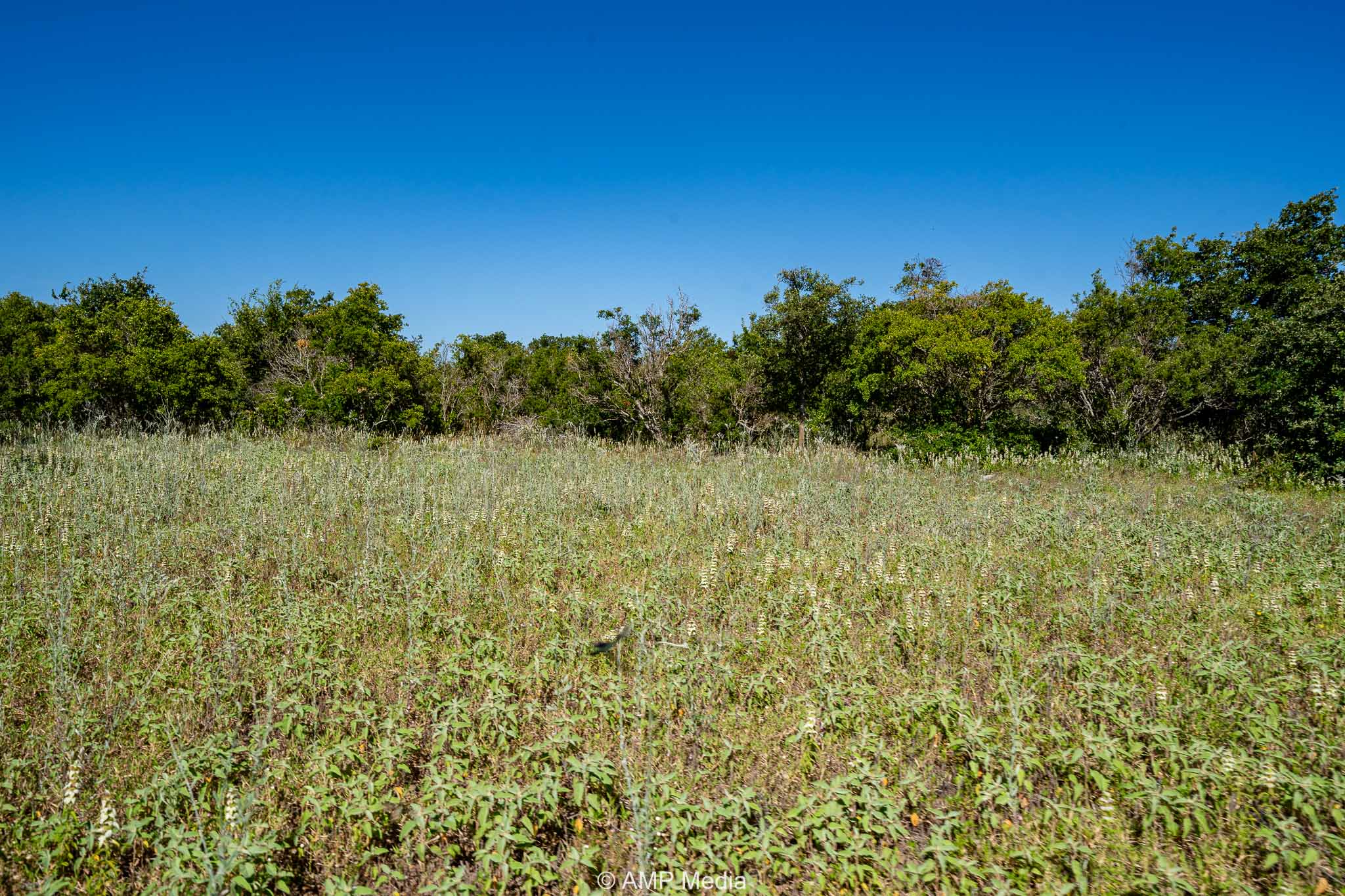 Property Photo 21 Property photograph 21