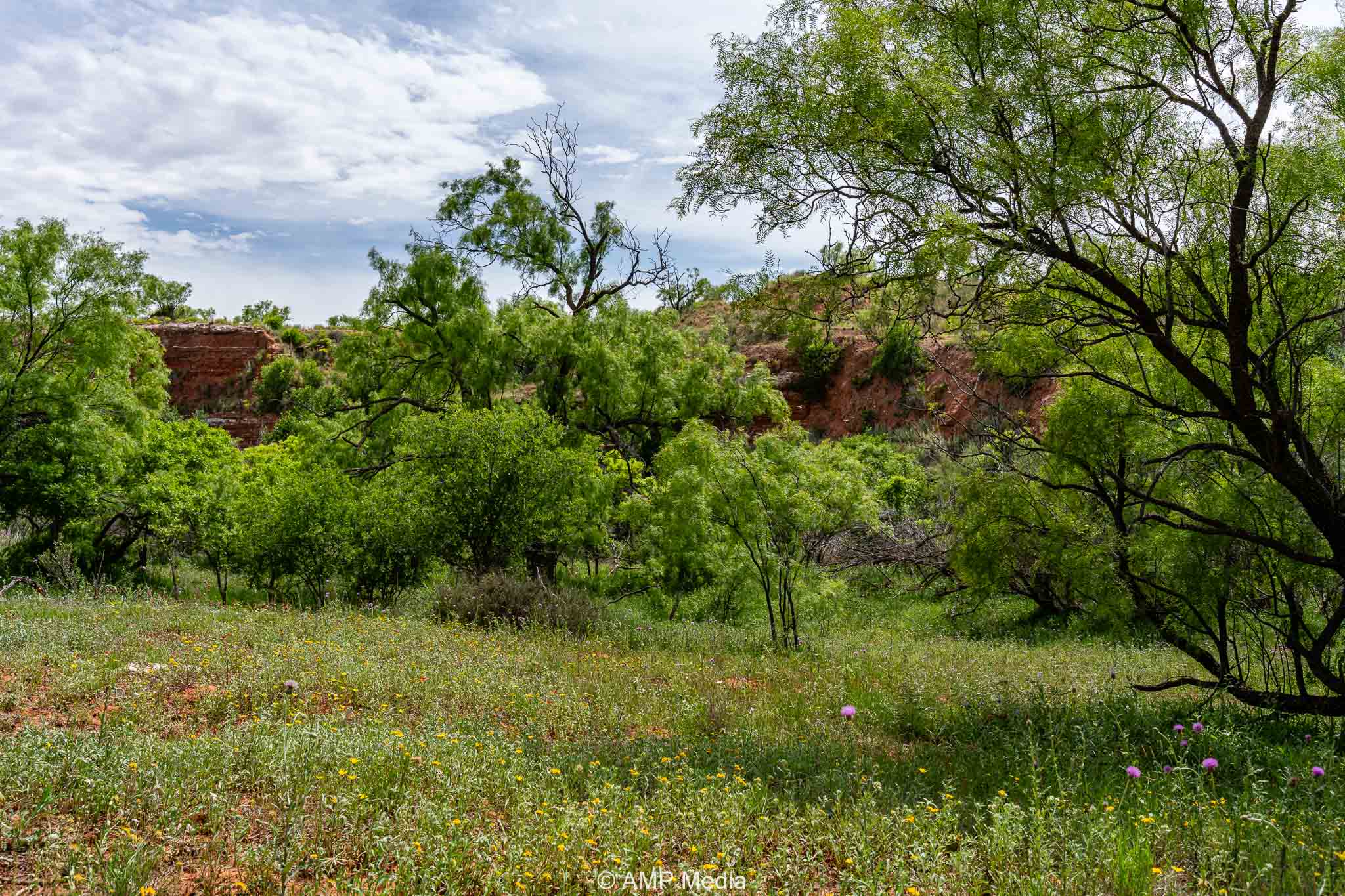 Property Photo 21 Property photograph 21