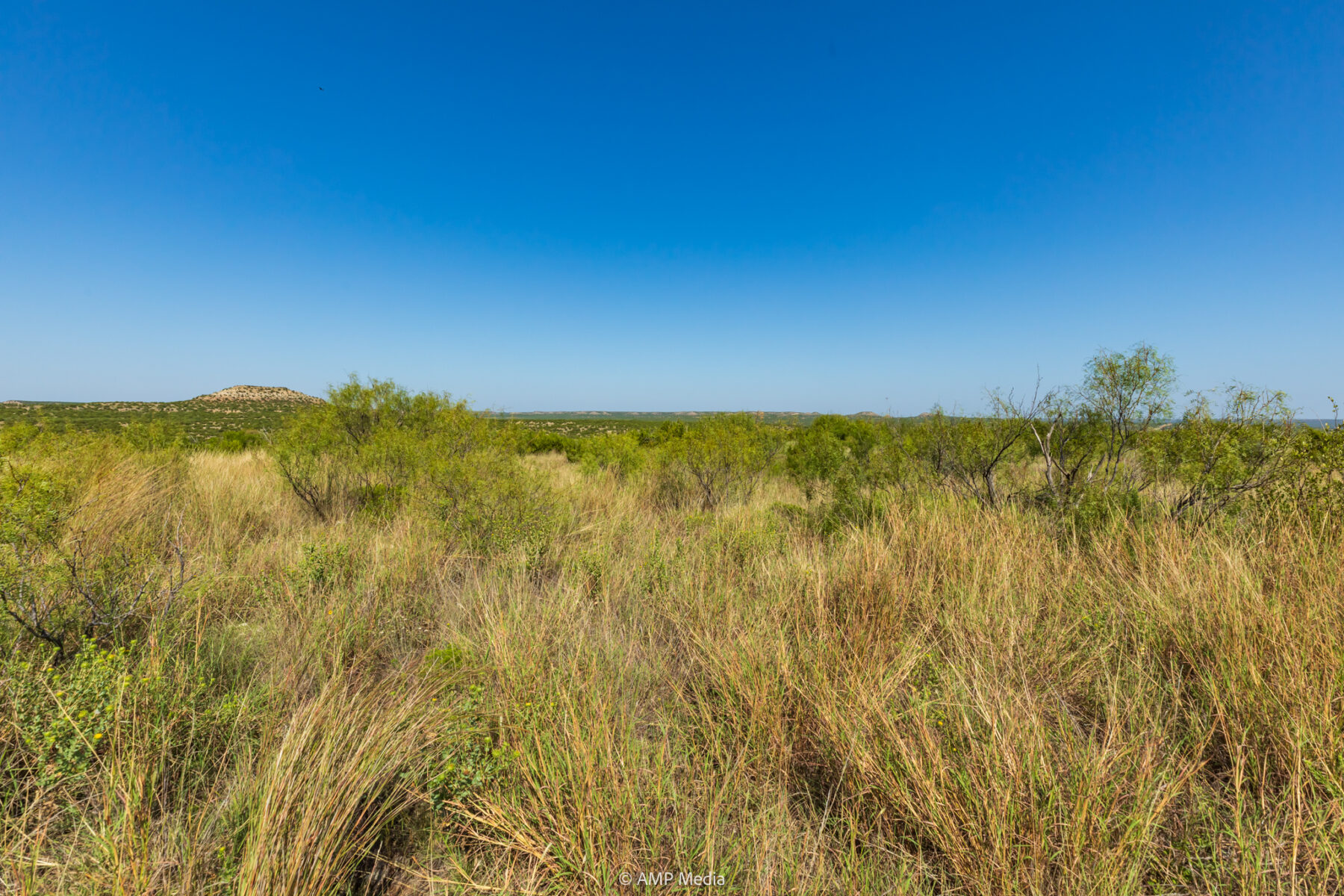 Property Photo 21 Property photograph 21