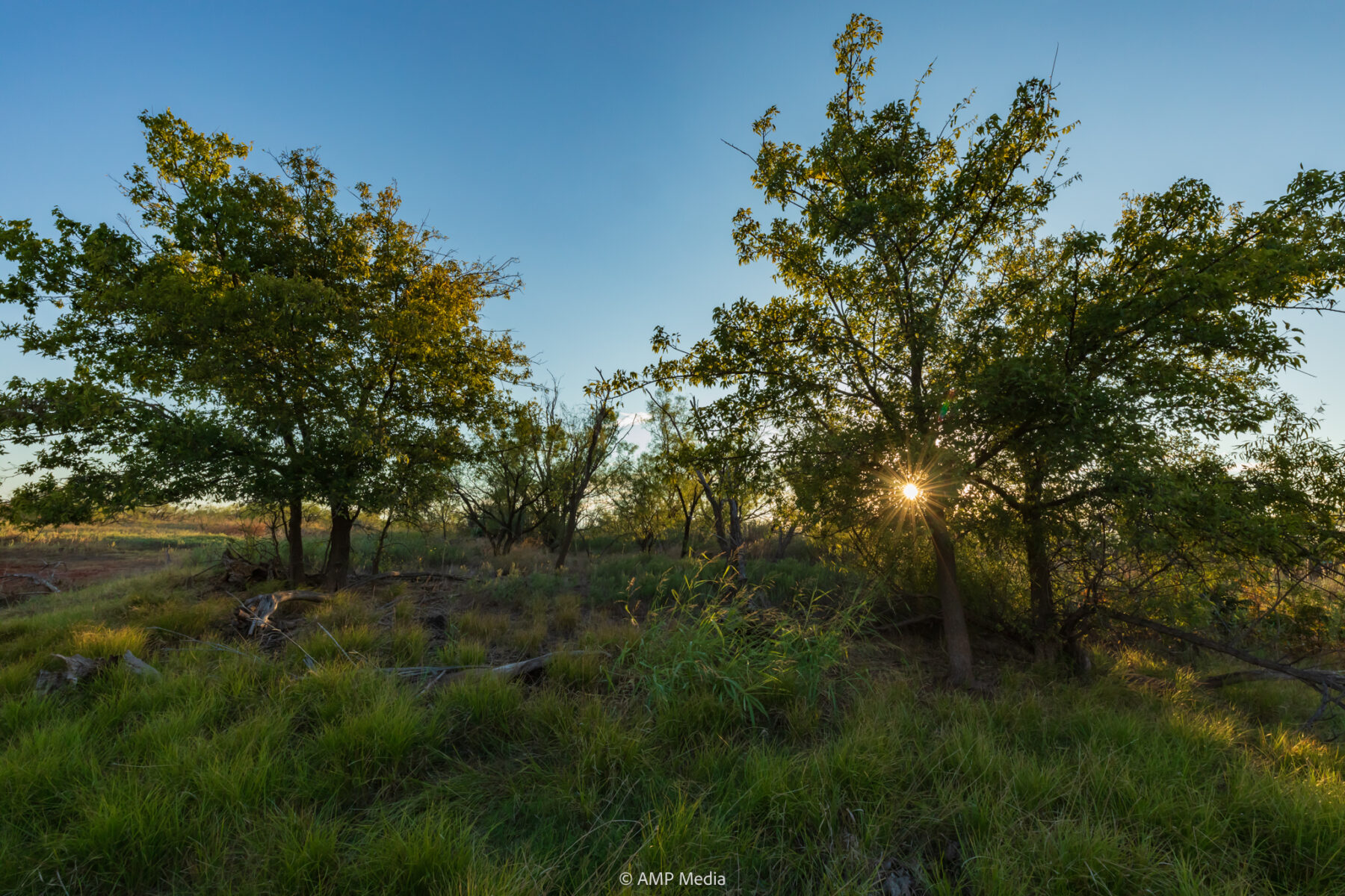 Property Photo 21 Property photograph 21
