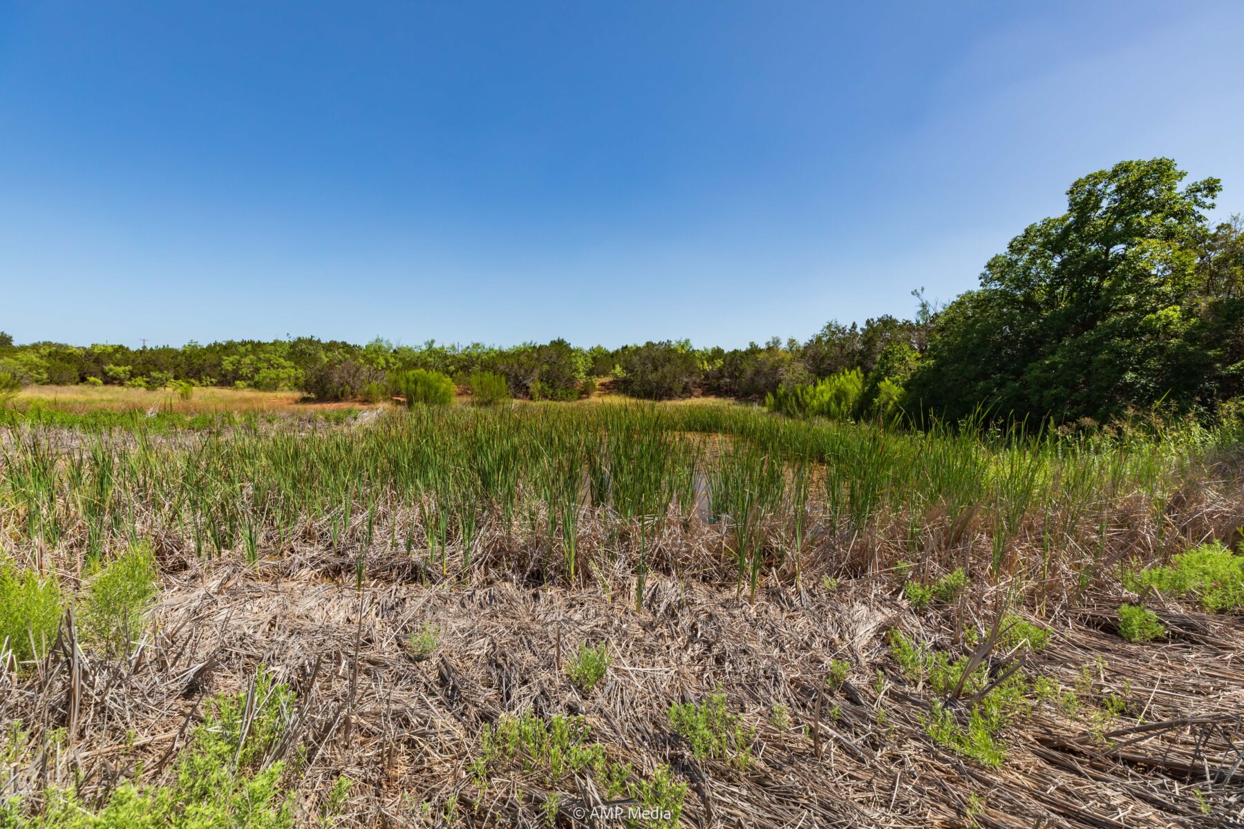 Property Photo 22 Property photograph 22