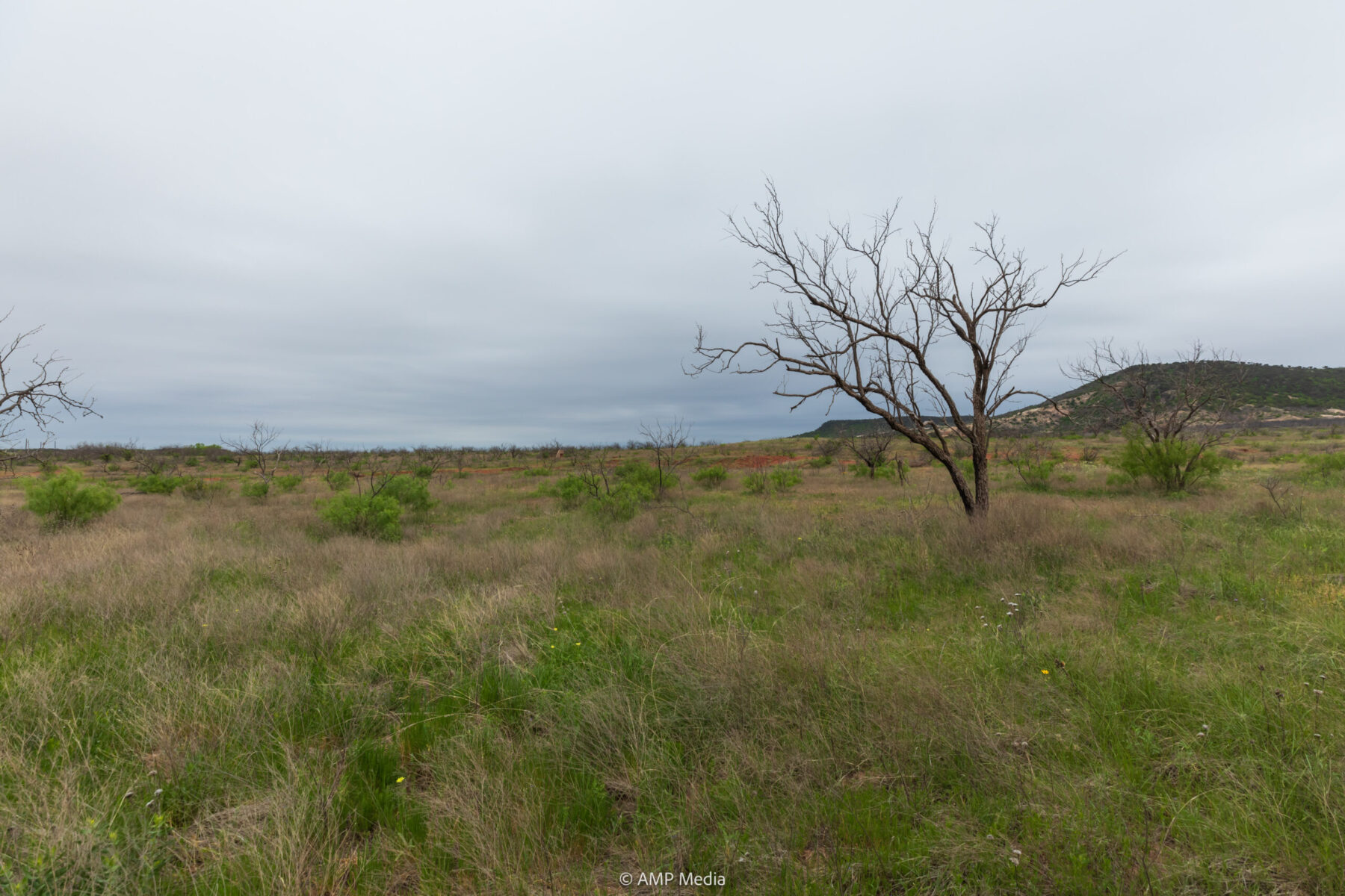 Property Photo 22 Property photograph 22