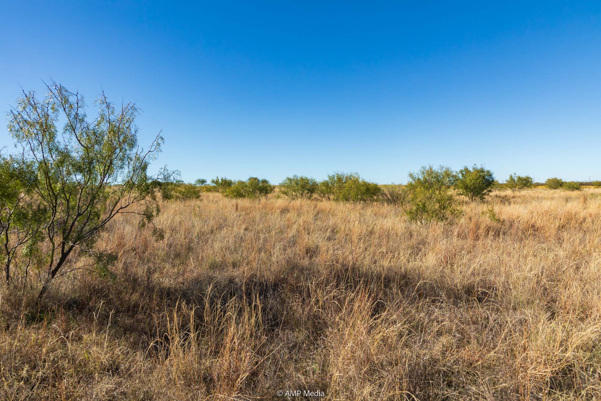 Property Photo 22 Property photograph 22