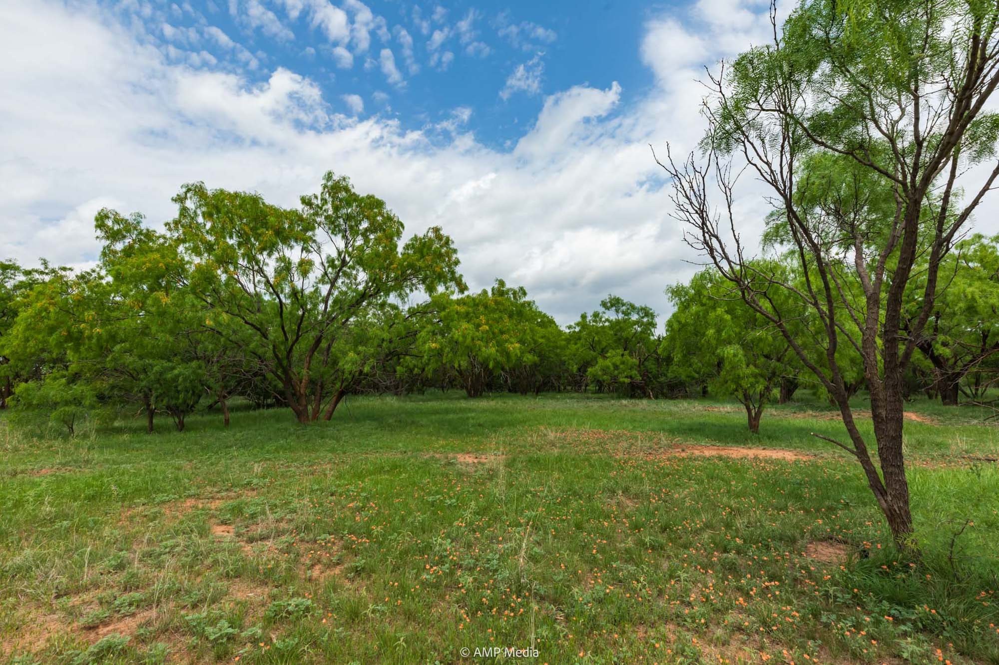 Property Photo 22 Property photograph 22