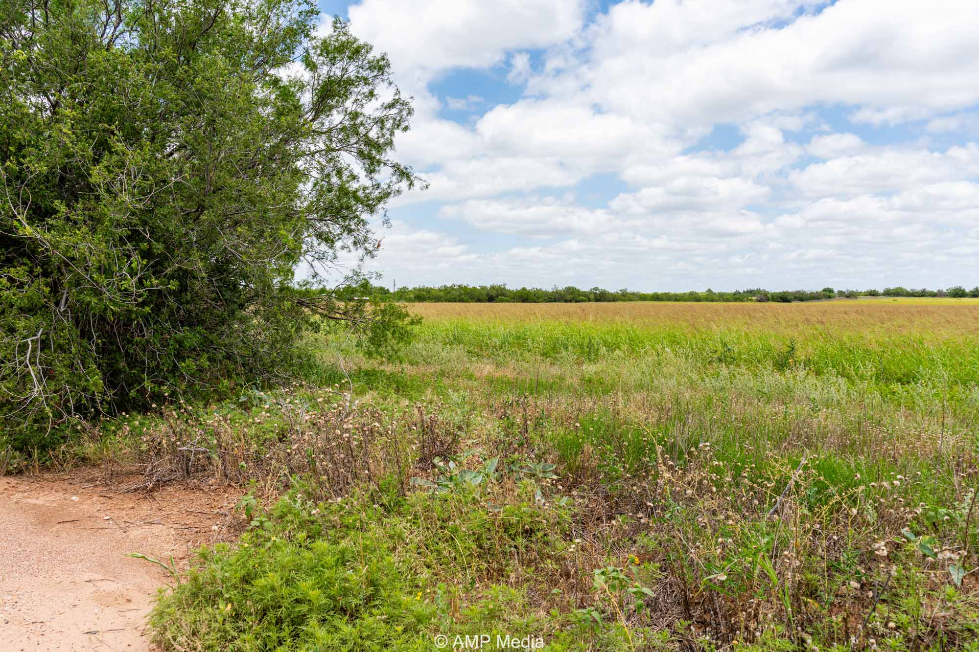 Property Photo 22 Property photograph 22