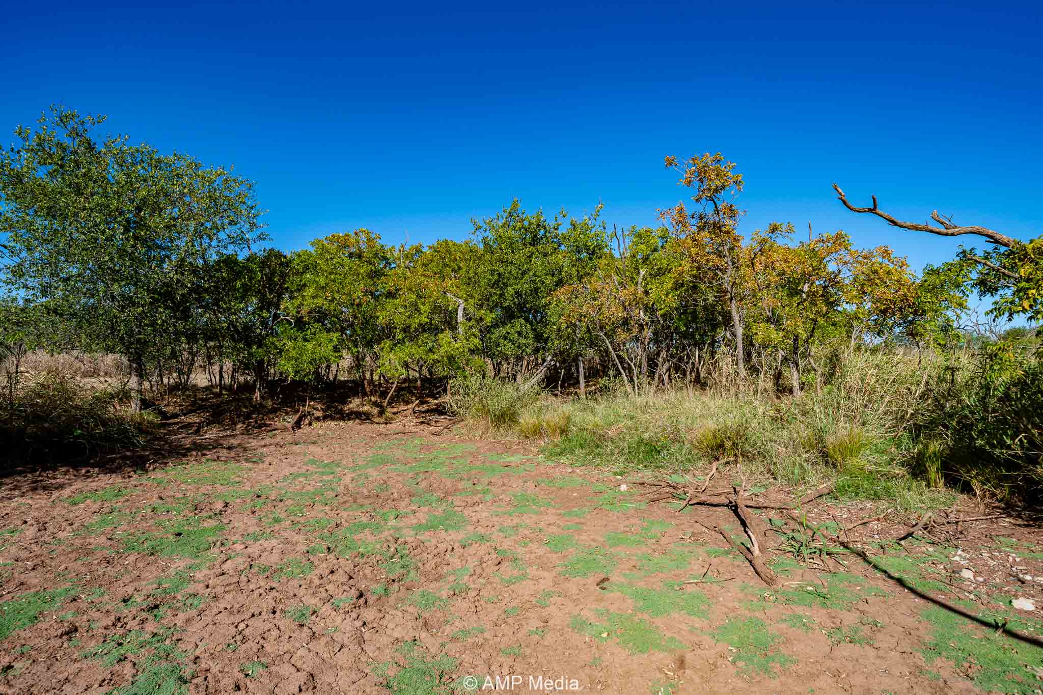 Property Photo 22 Property photograph 22