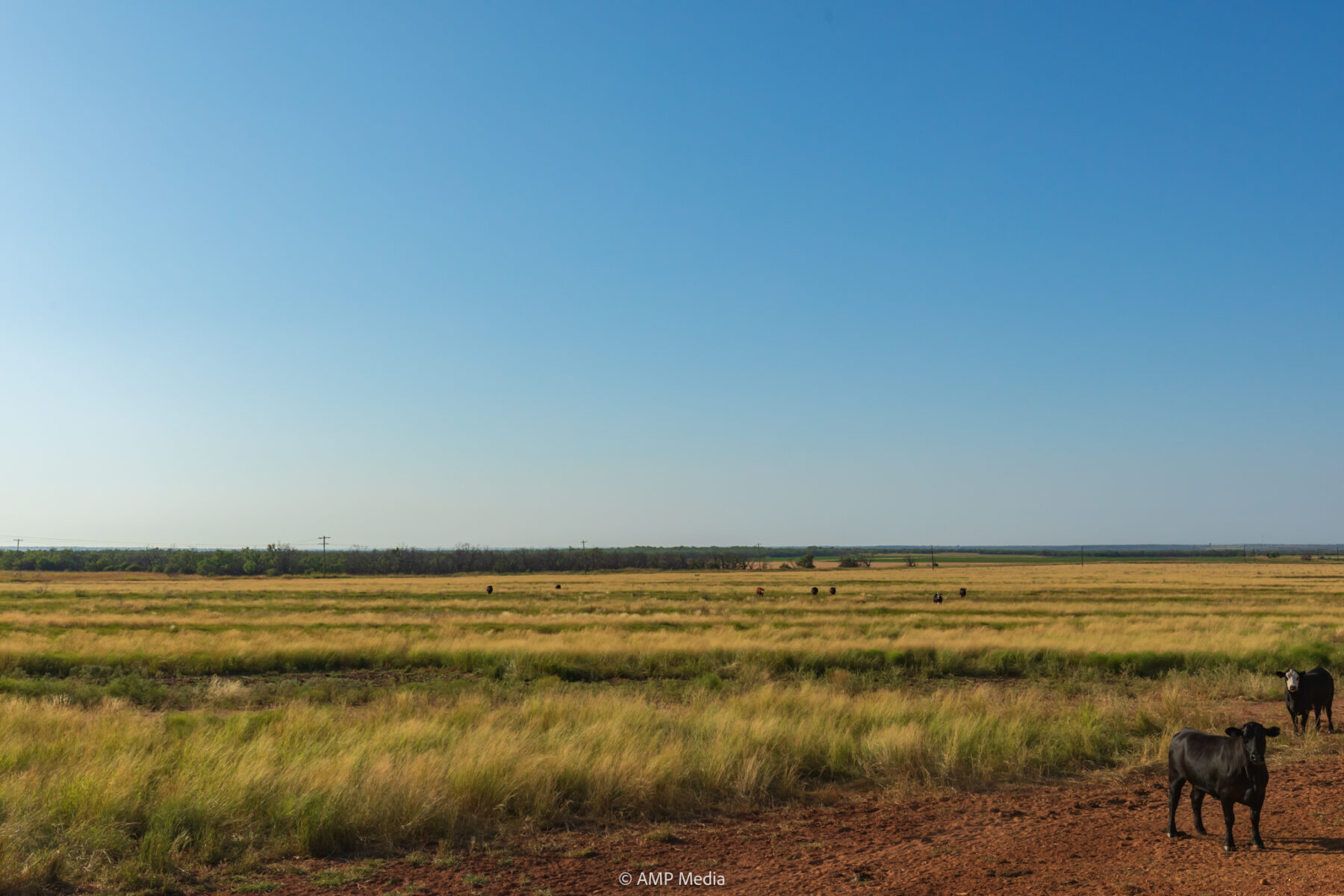 Property Photo 22 Property photograph 22