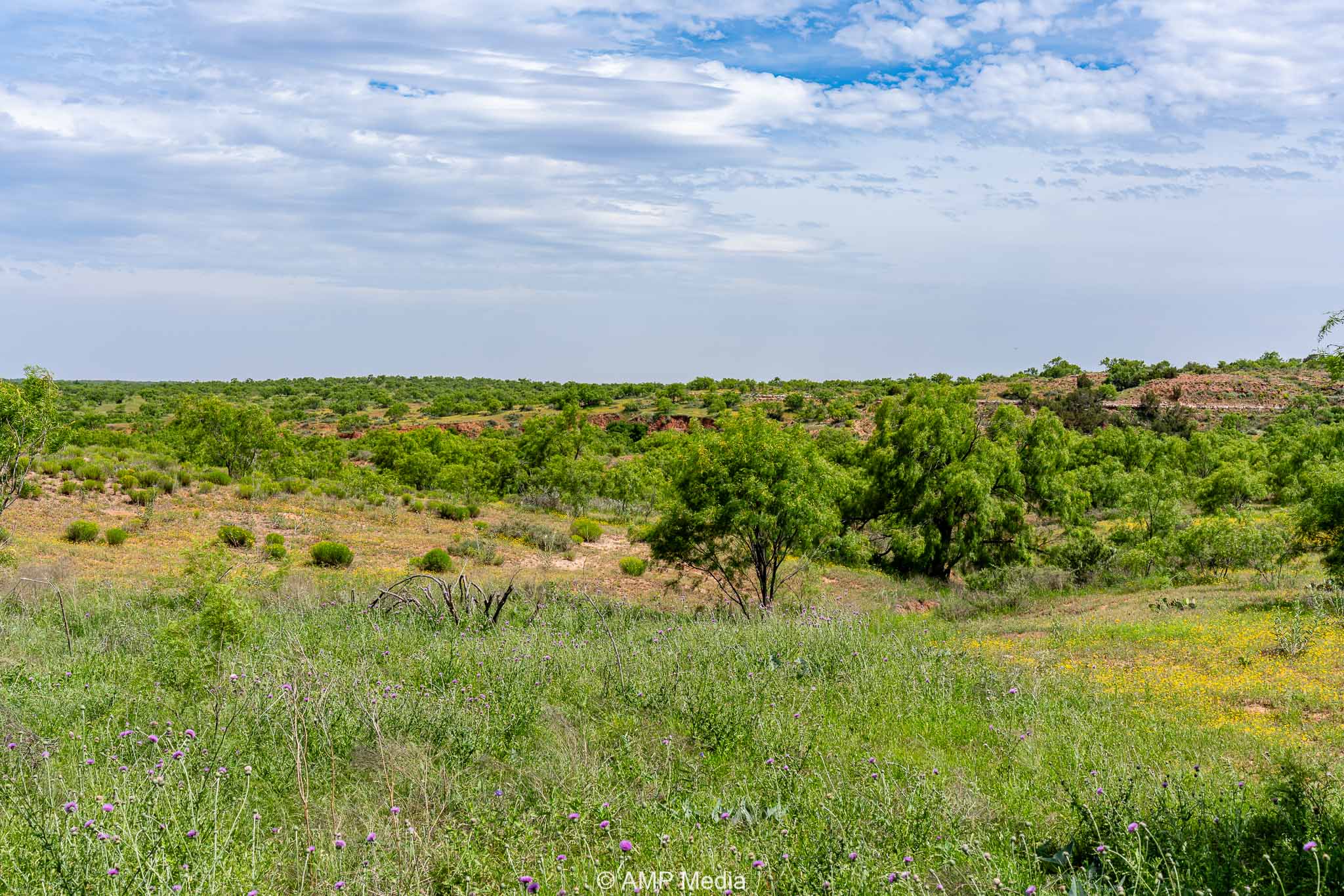 Property Photo 22 Property photograph 22