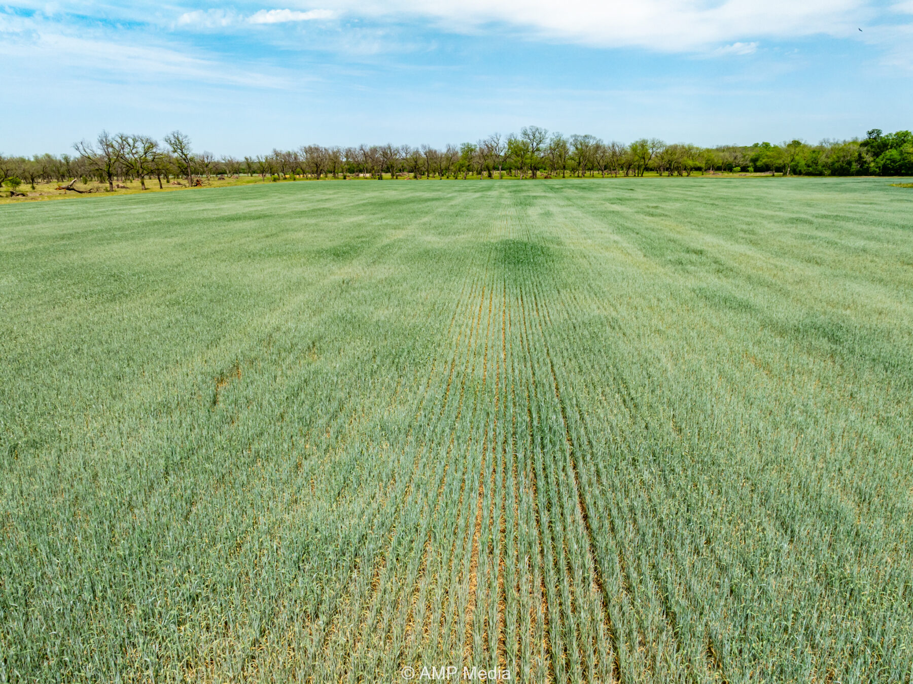 Property Photo 23 Property photograph 23