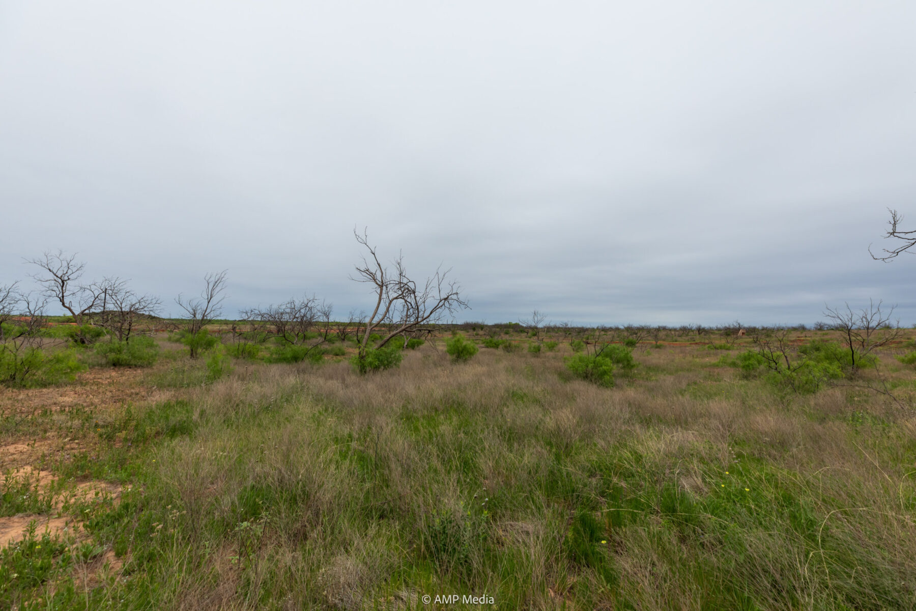 Property Photo 23 Property photograph 23