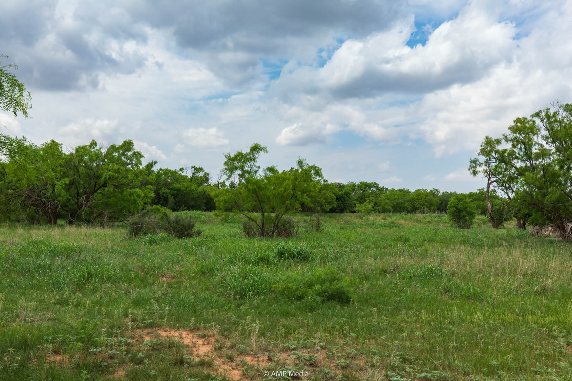 Property Photo 23 Property photograph 23