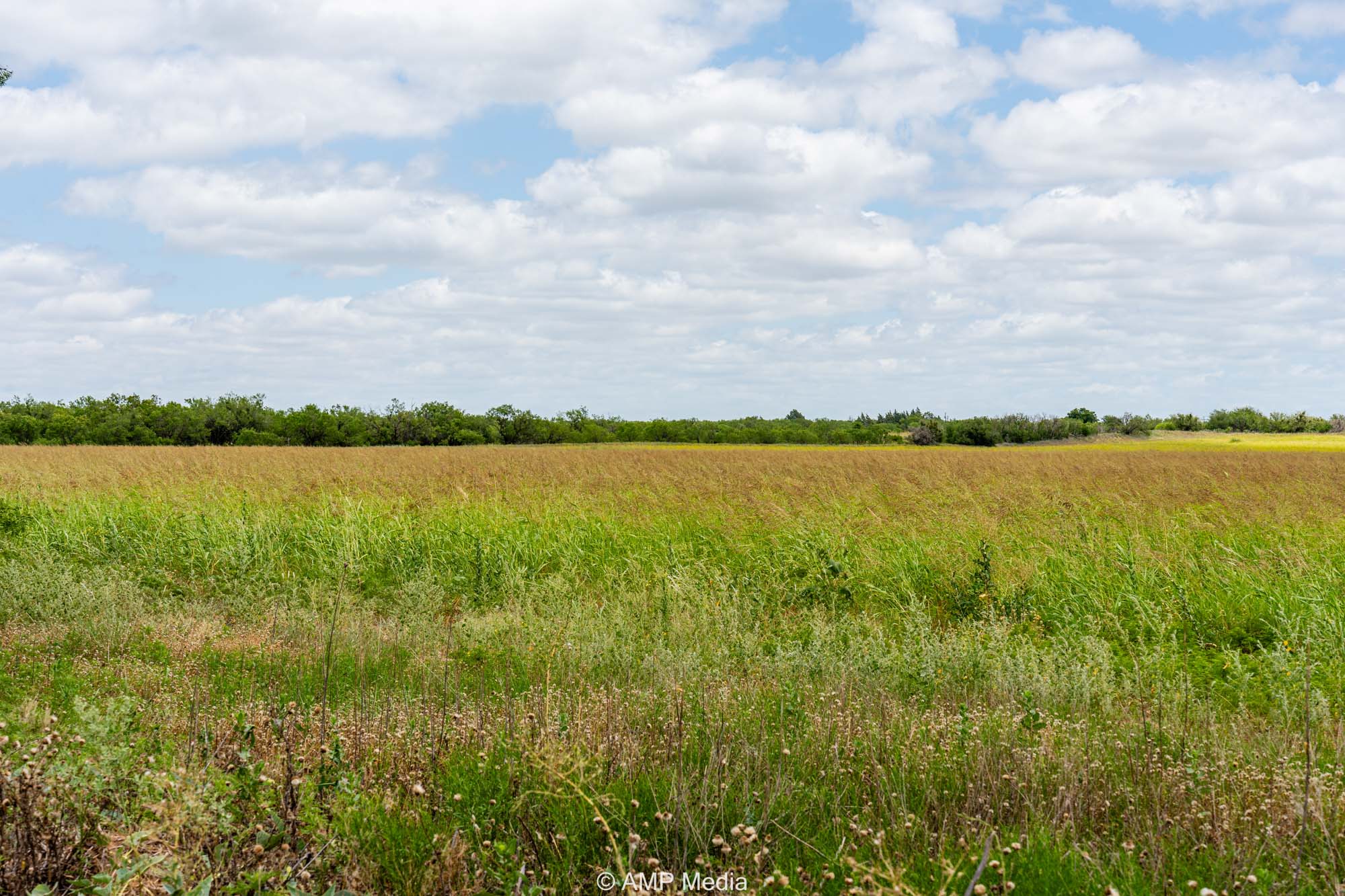 Property Photo 23 Property photograph 23