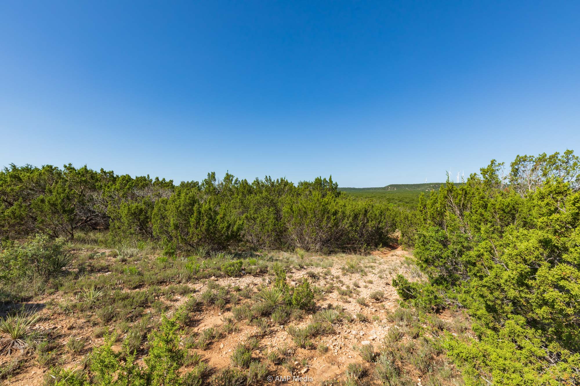 Property Photo 23 Property photograph 23