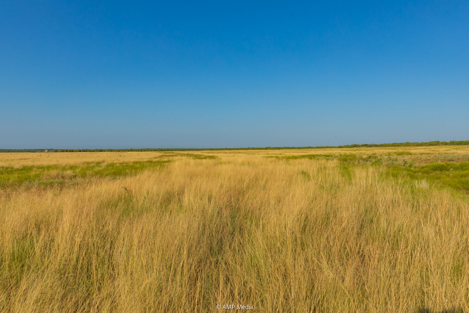 Property Photo 23 Property photograph 23