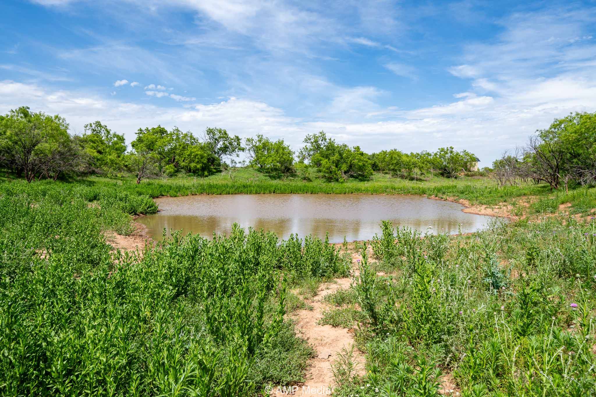 Property Photo 23 Property photograph 23