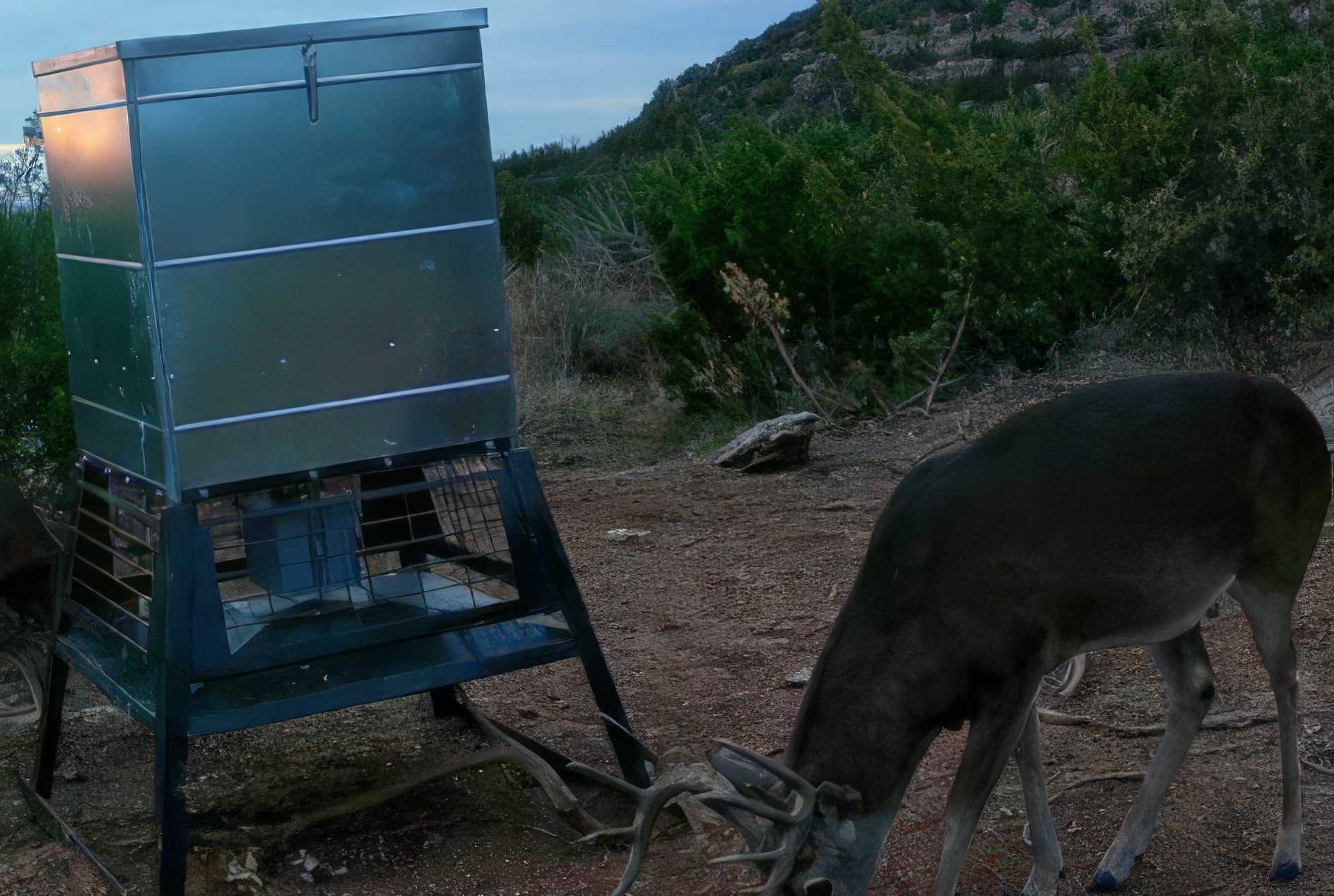 Property Photo 23 Property photograph 23