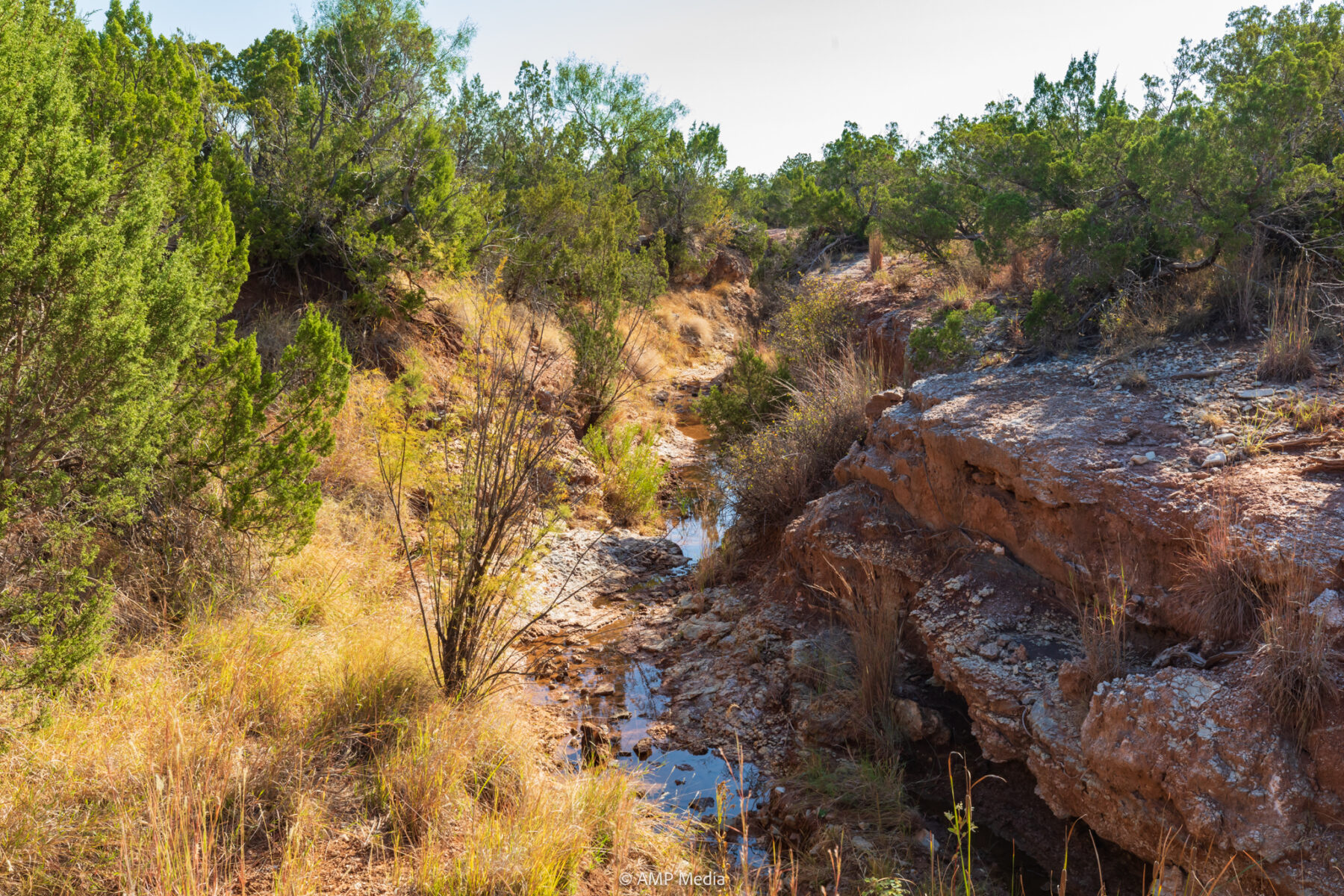 Property Photo 23 Property photograph 23