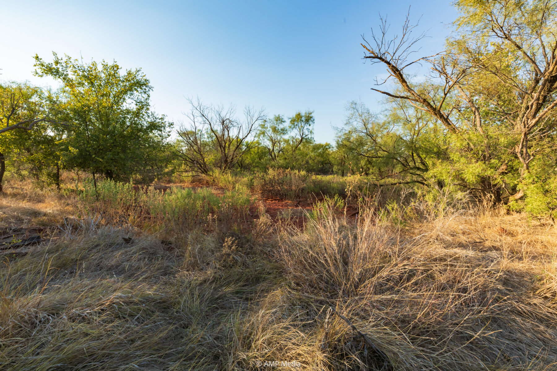 Property Photo 23 Property photograph 23