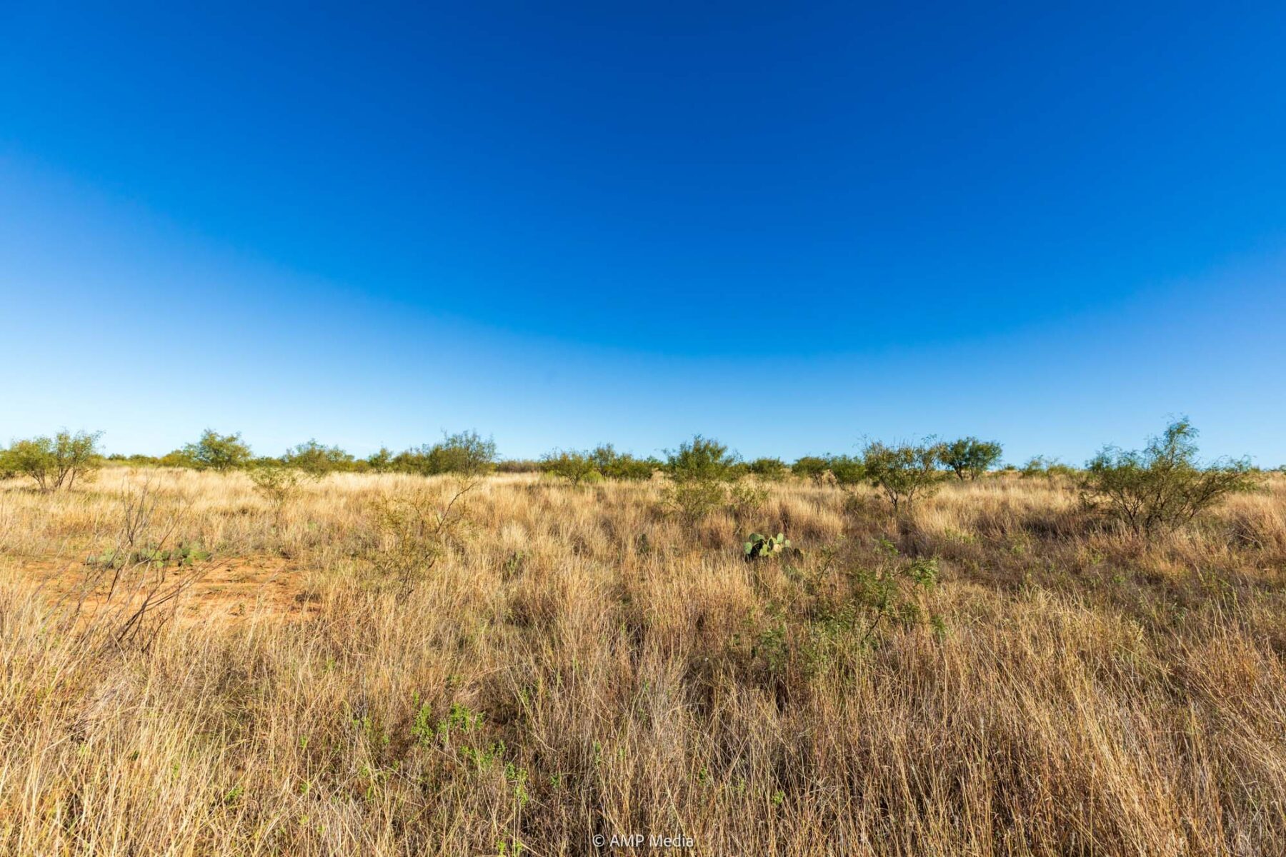 Property Photo 24 Property photograph 24