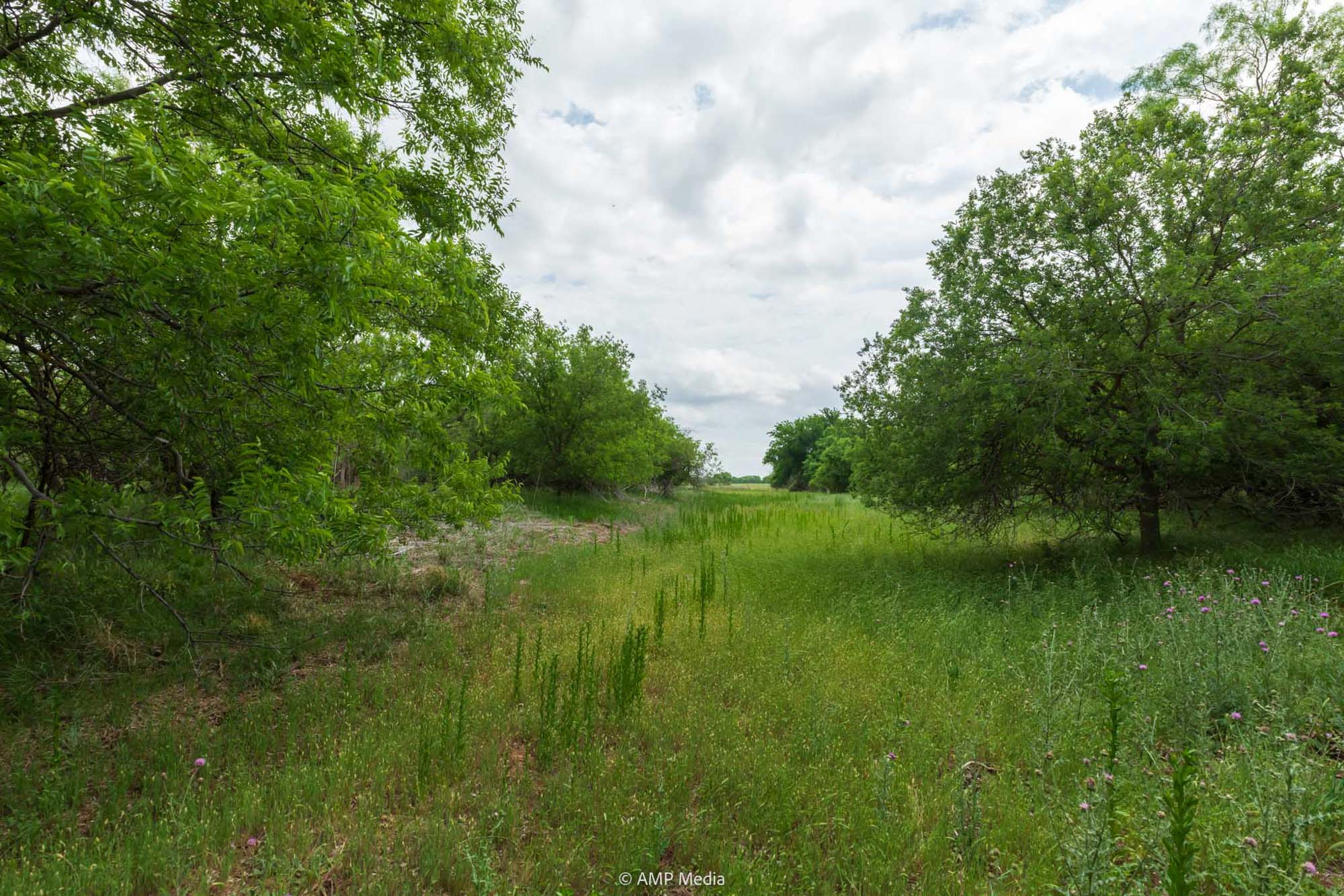 Property Photo 24 Property photograph 24