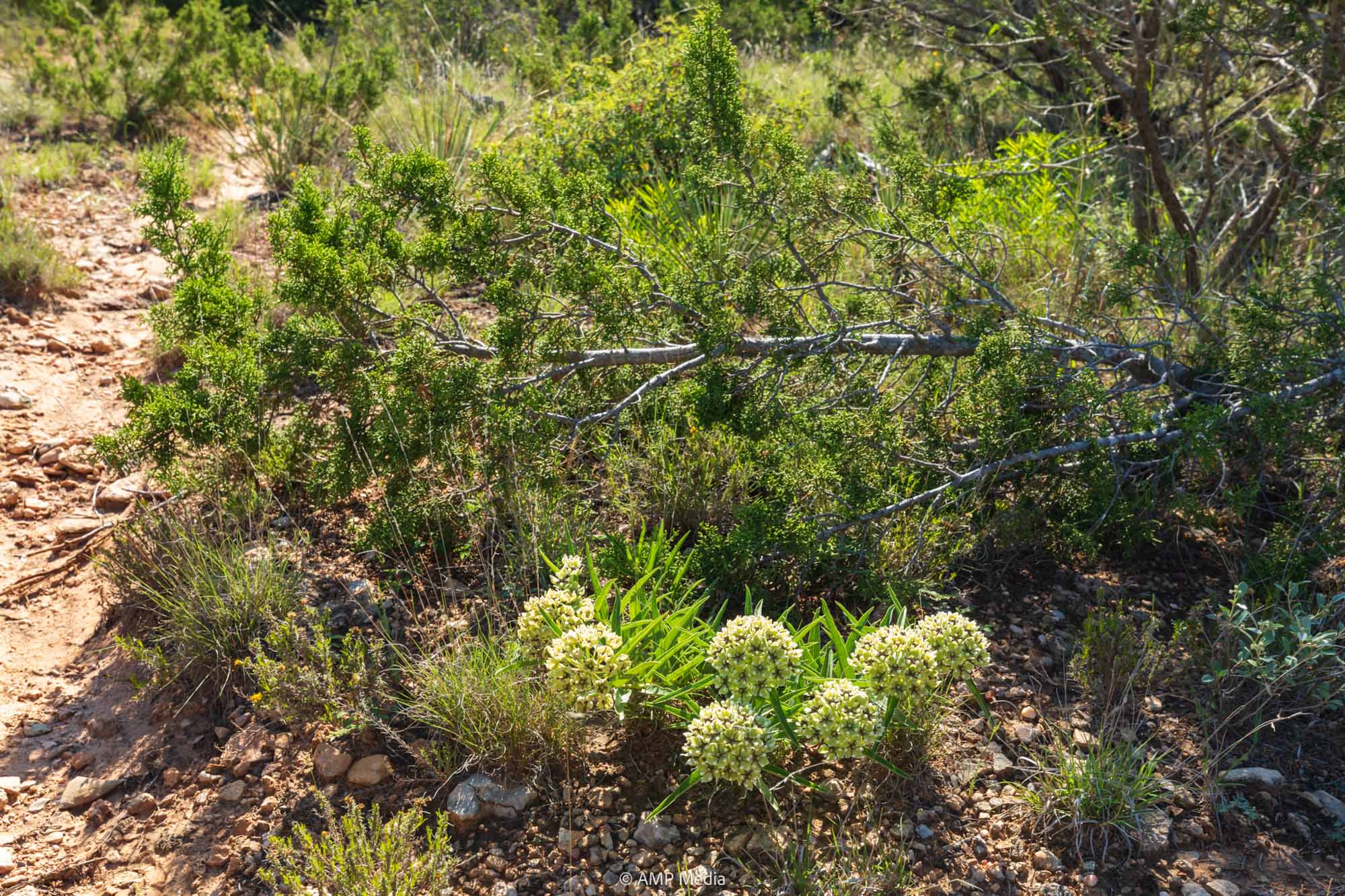 Property Photo 24 Property photograph 24