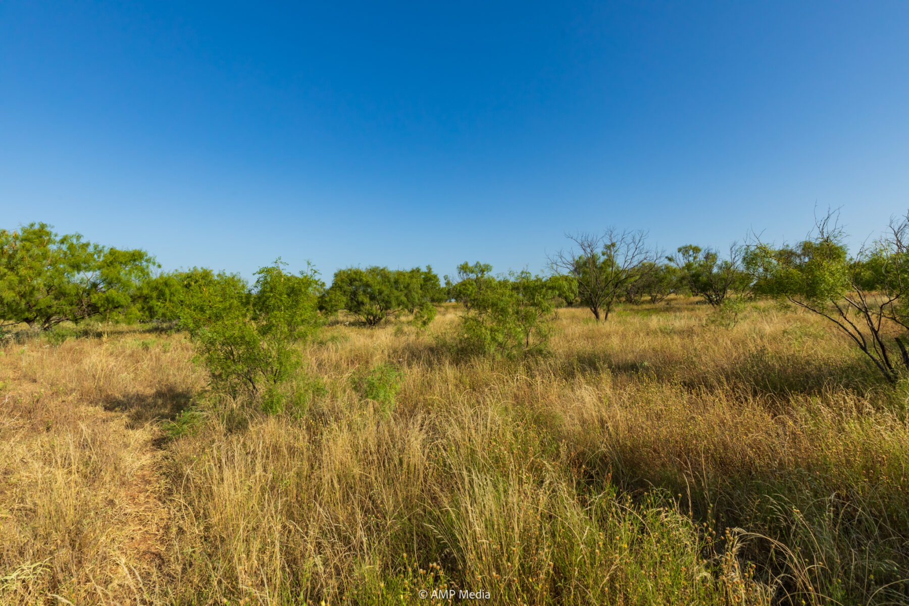 Property Photo 24 Property photograph 24
