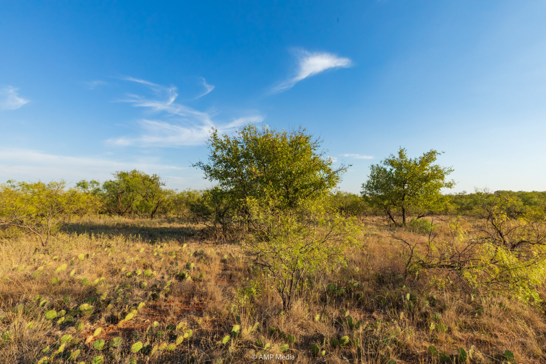 Property Photo 24 Property photograph 24