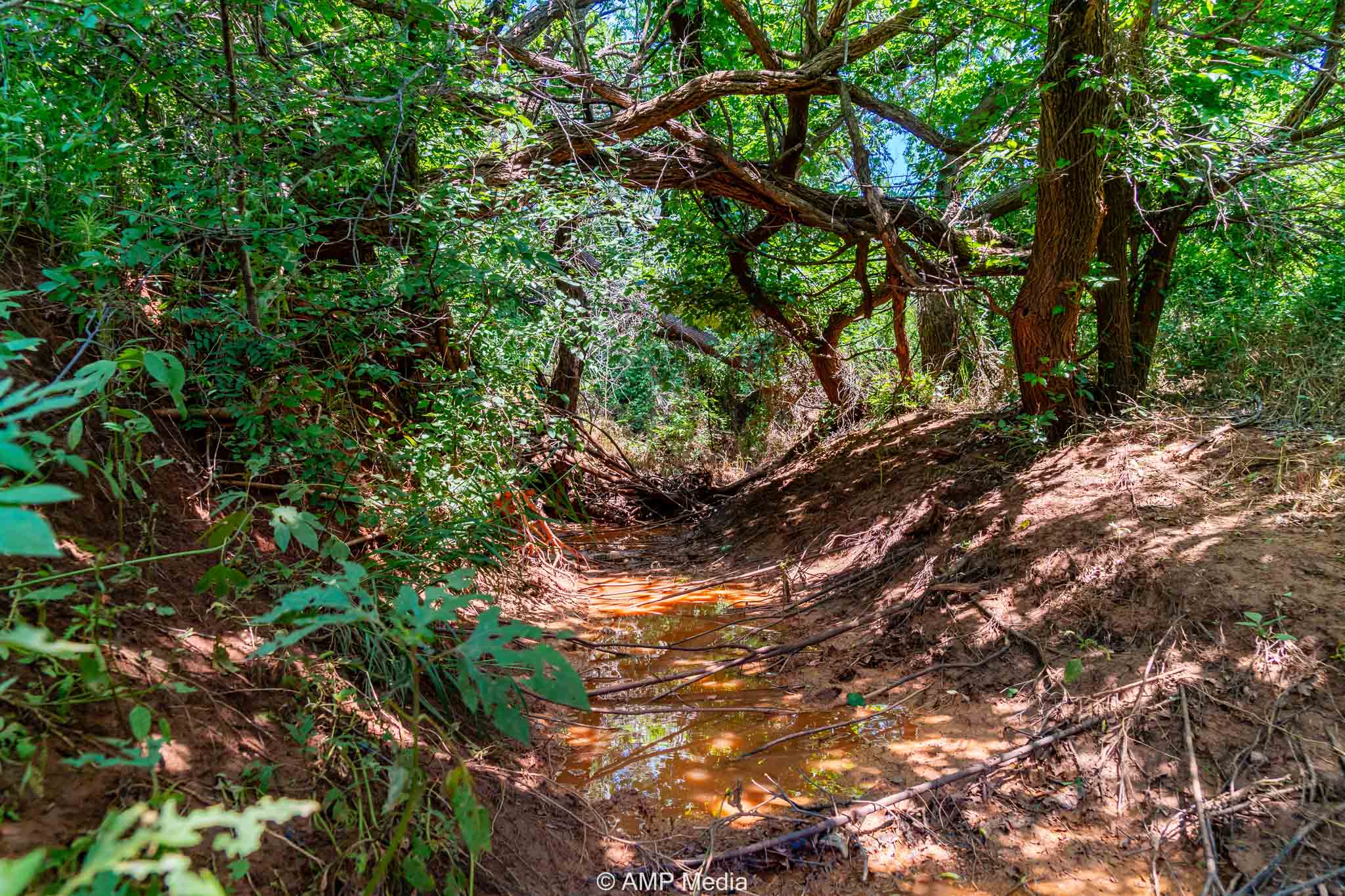 Property Photo 25 Property photograph 25