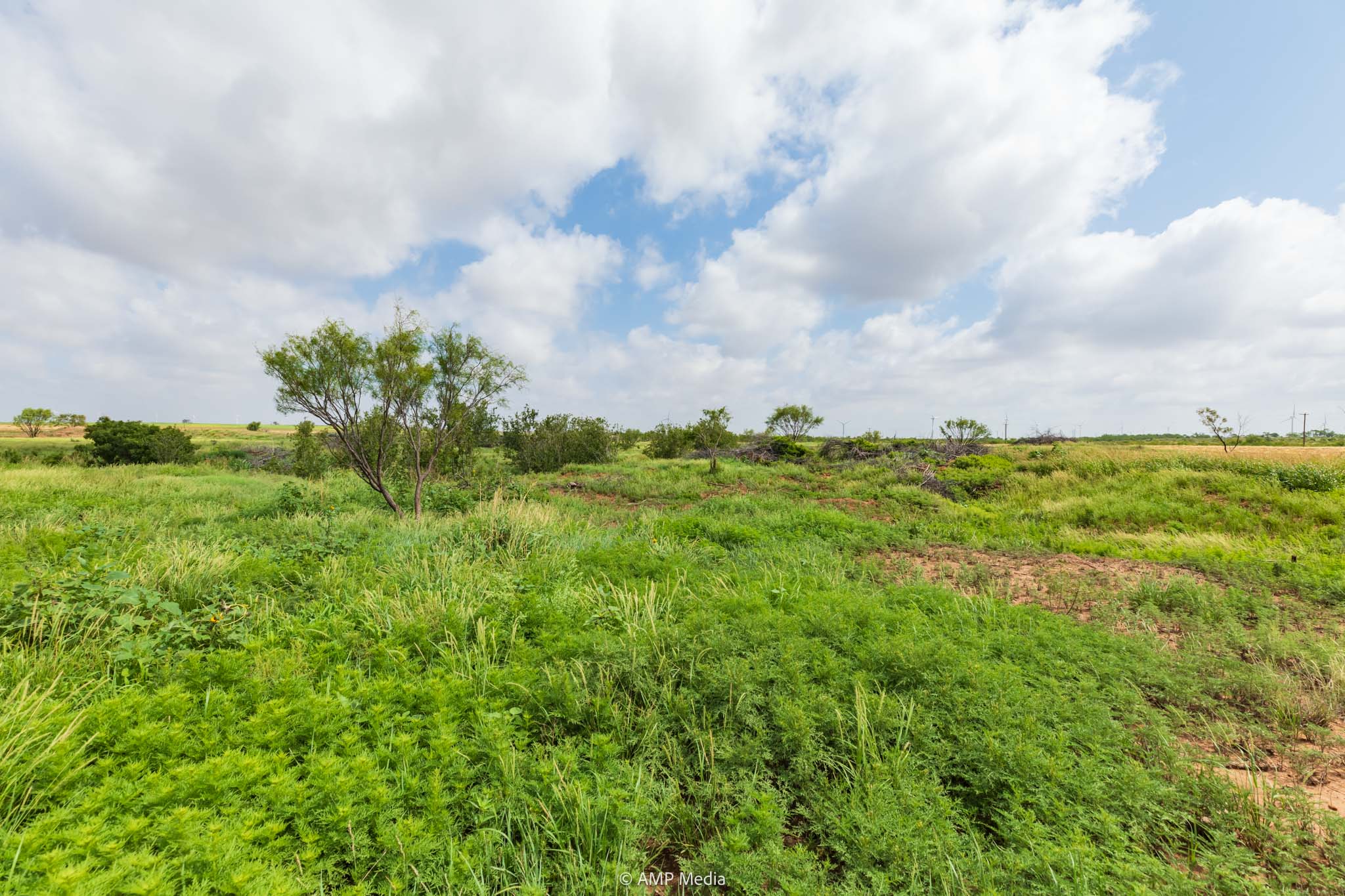 Property Photo 25 Property photograph 25