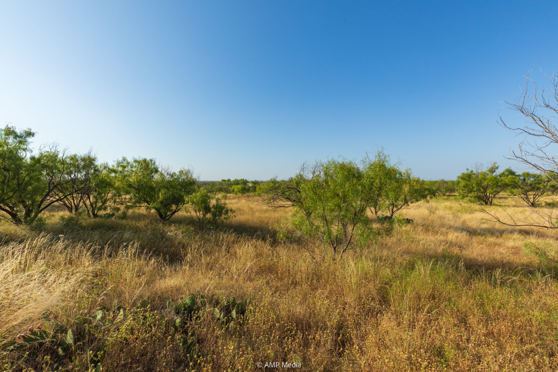 Property Photo 25 Property photograph 25