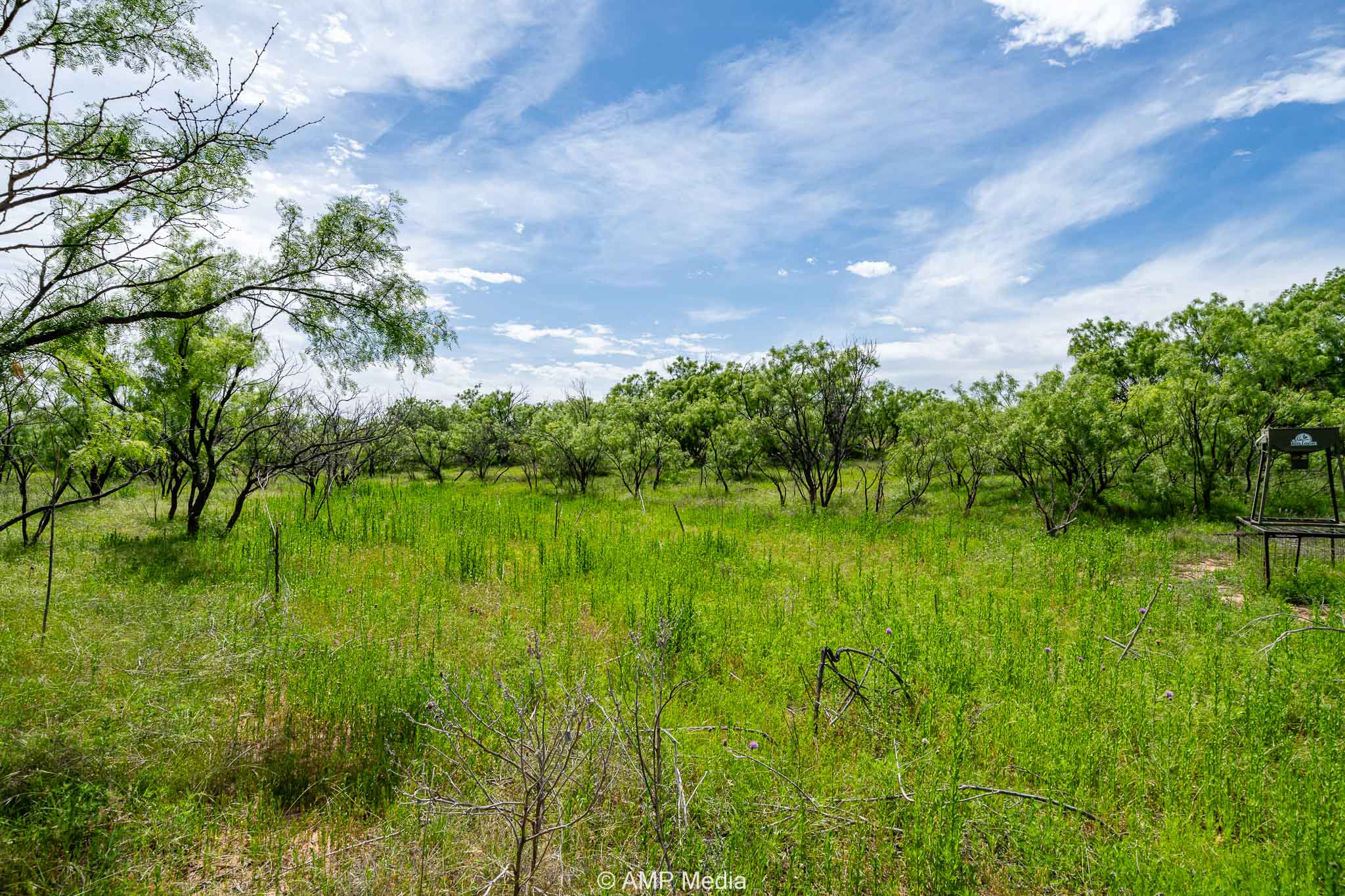 Property Photo 25 Property photograph 25