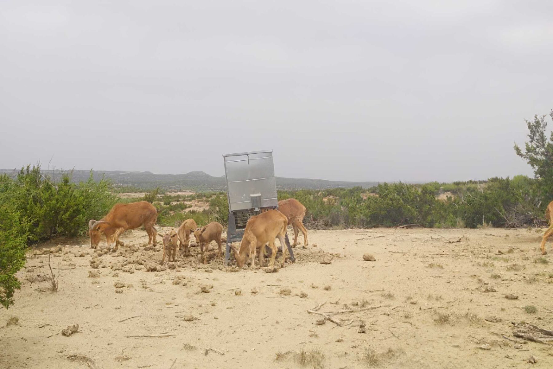 Property Photo 25 Property photograph 25