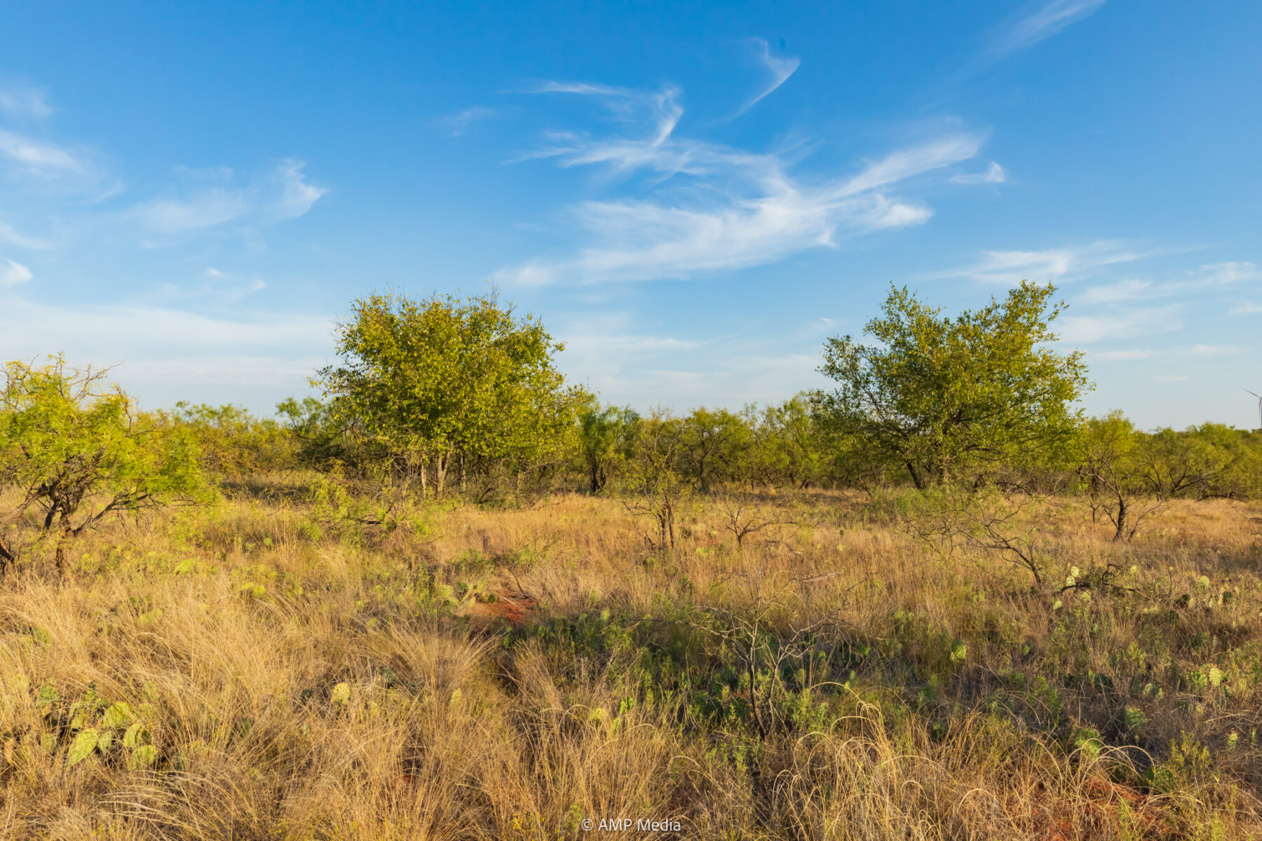 Property Photo 25 Property photograph 25