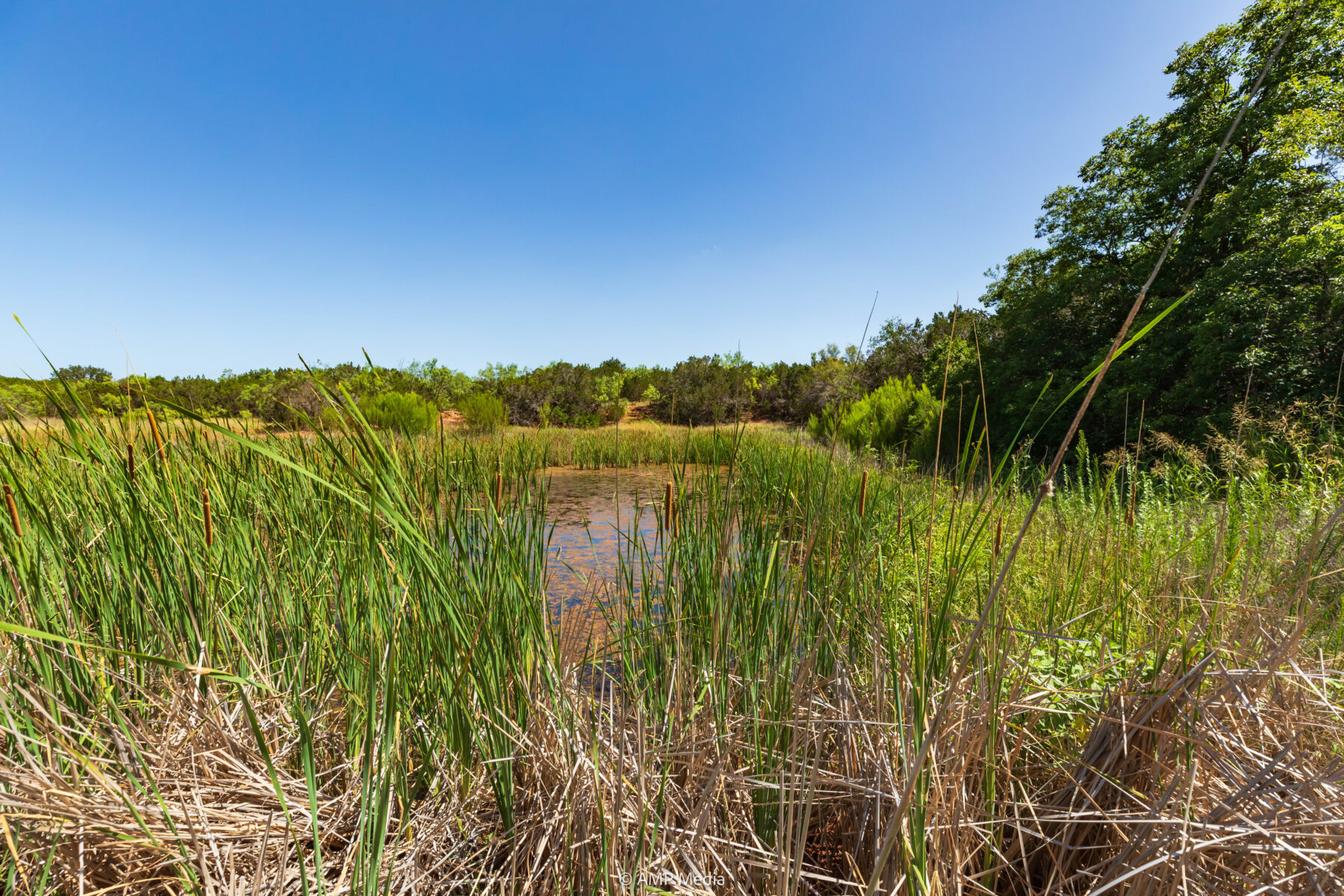 Property Photo 26 Property photograph 26