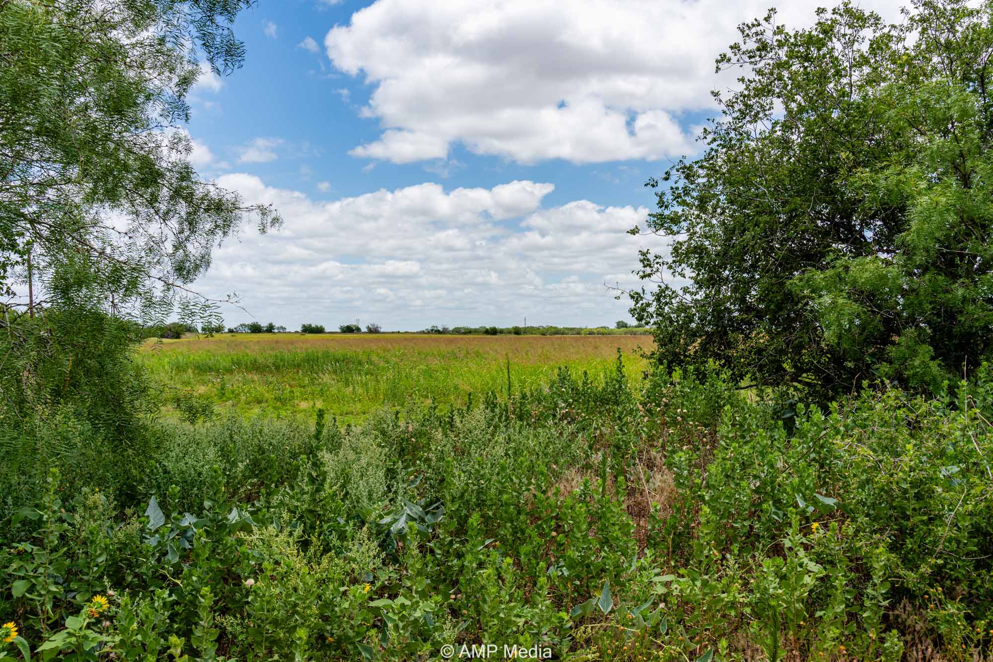 Property Photo 26 Property photograph 26