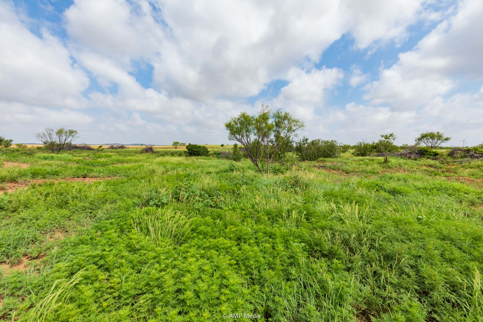 Property Photo 26 Property photograph 26