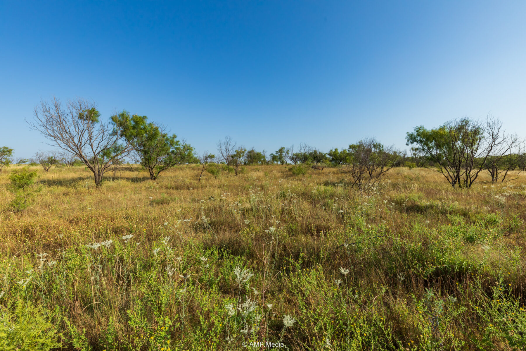 Property Photo 26 Property photograph 26