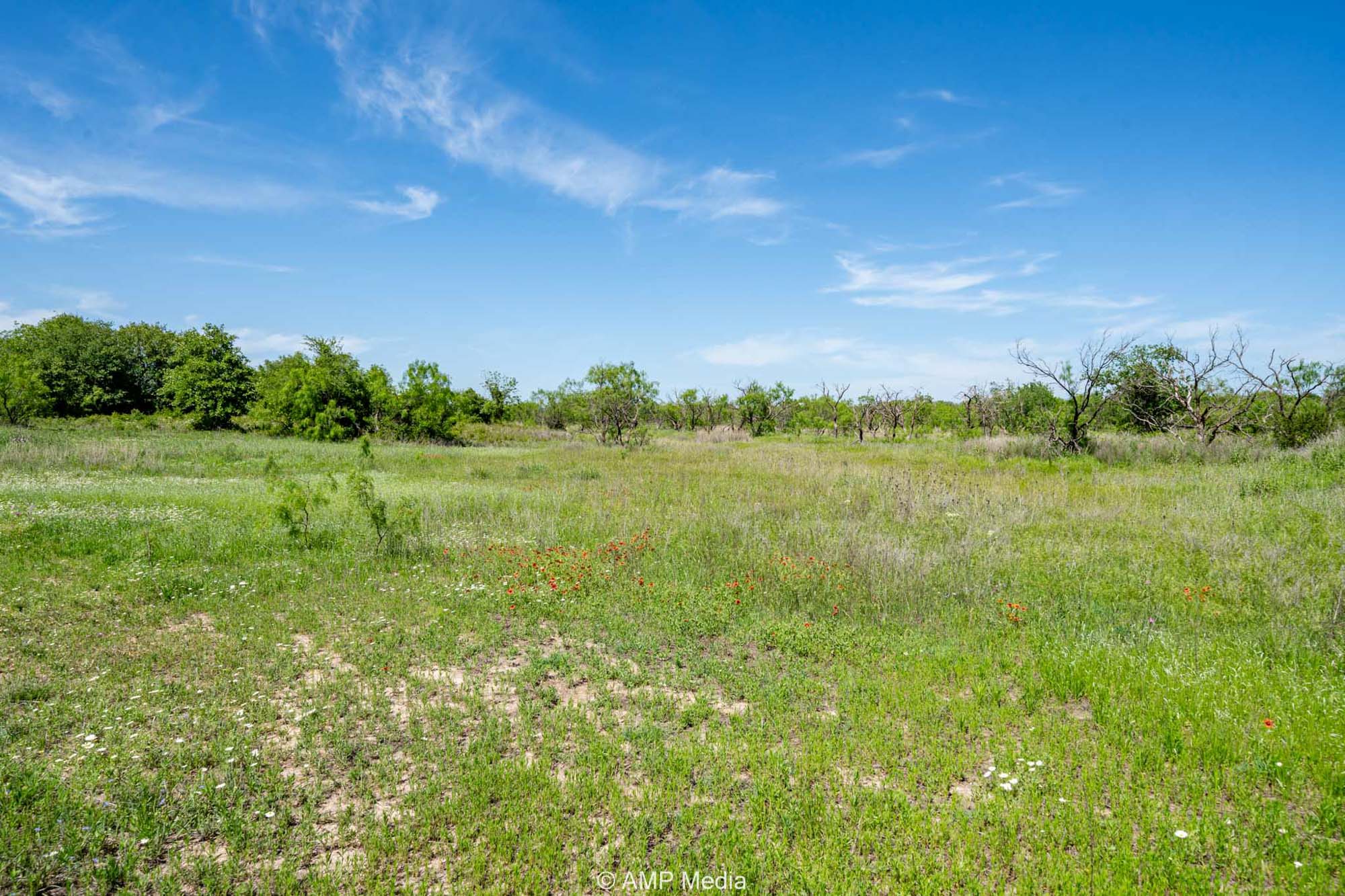 Property Photo 27 Property photograph 27