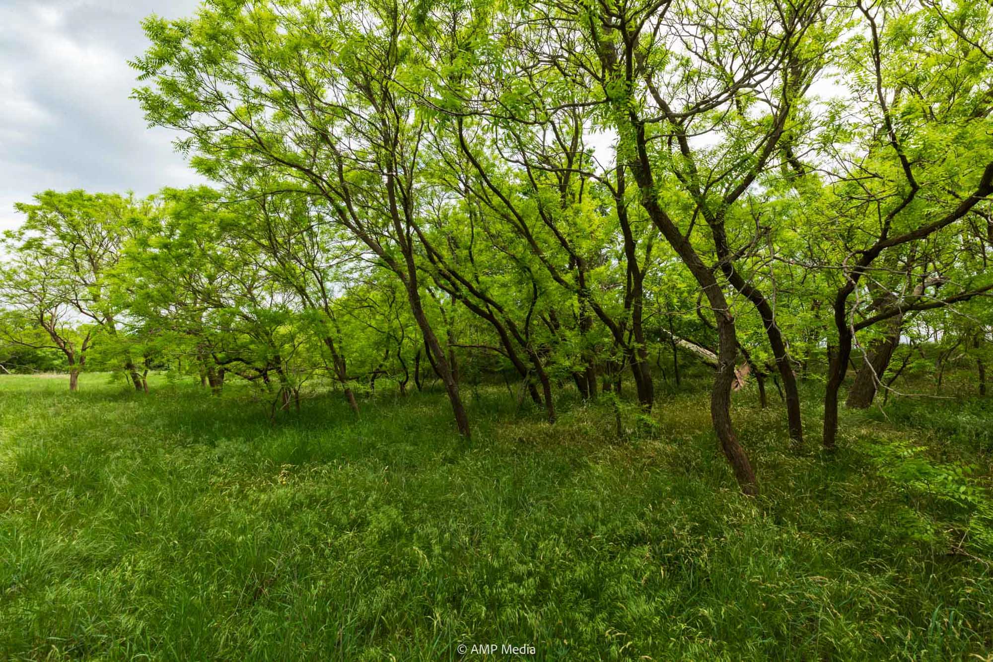 Property Photo 27 Property photograph 27