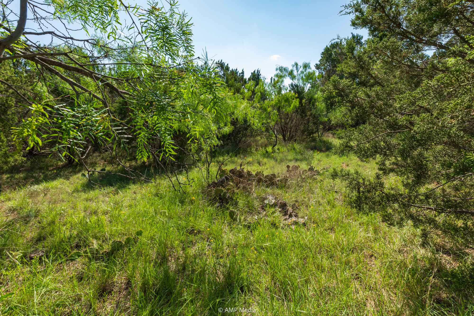 Property Photo 27 Property photograph 27