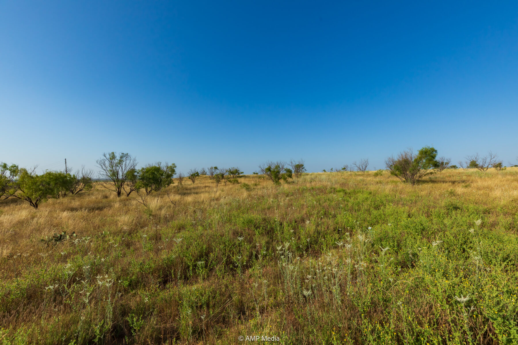 Property Photo 27 Property photograph 27